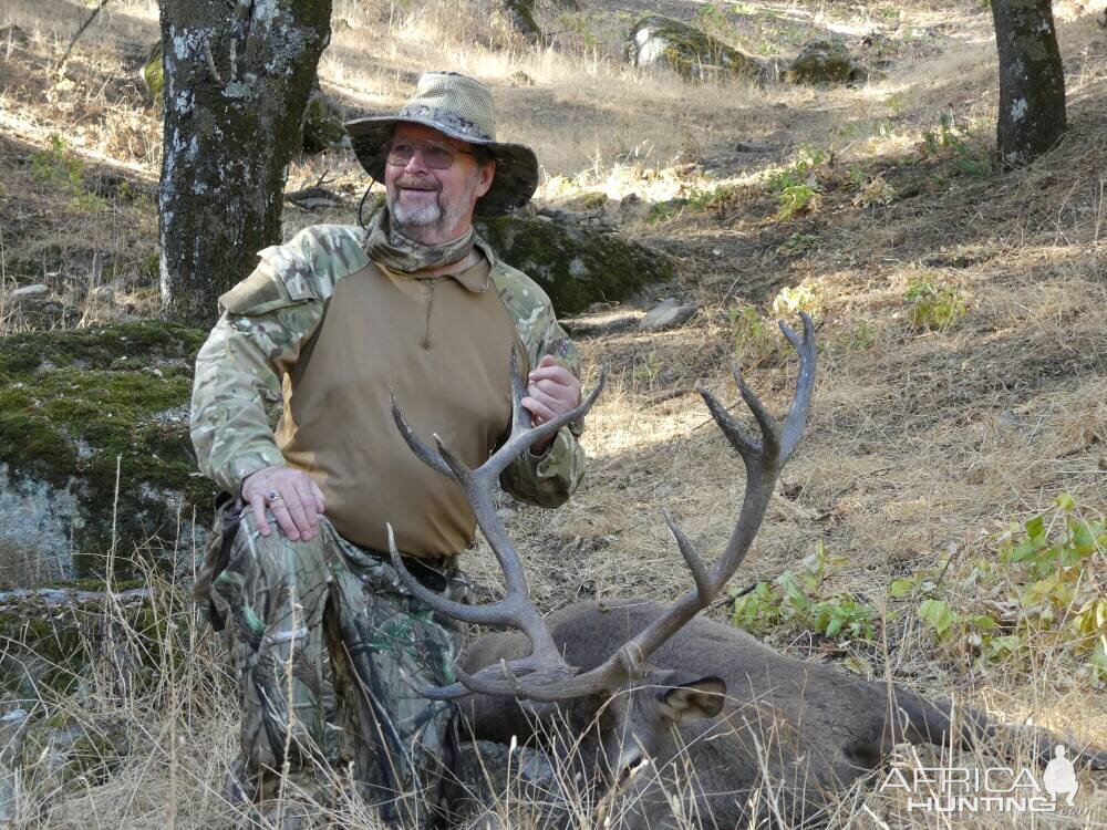 Red Deer Bow Hunt in Spain