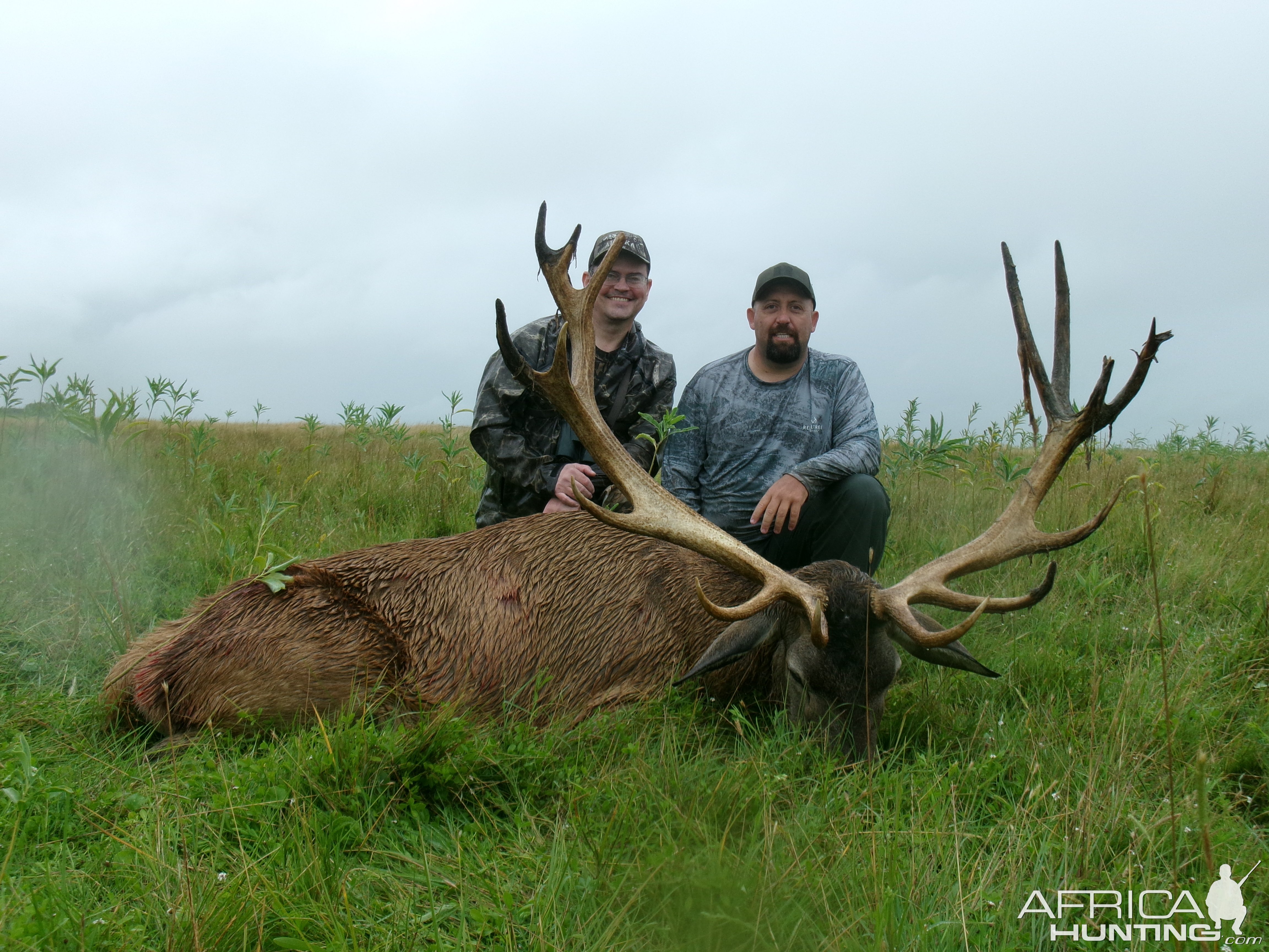 Red Deer Hunt Argentina