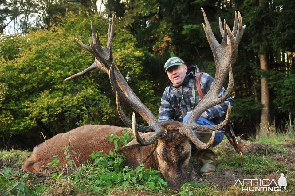 Red Deer Hunt in France