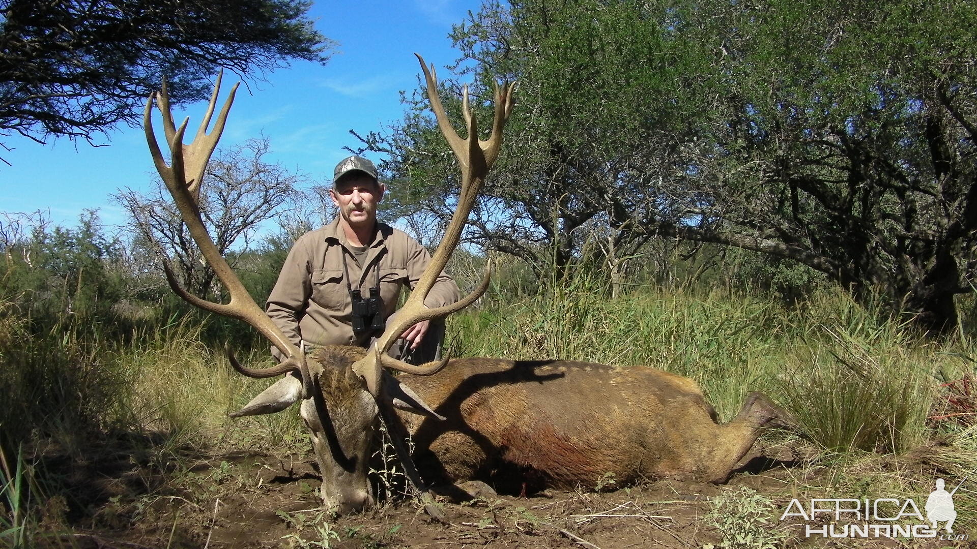 Red Deer Hunt in La Pampa Argentina