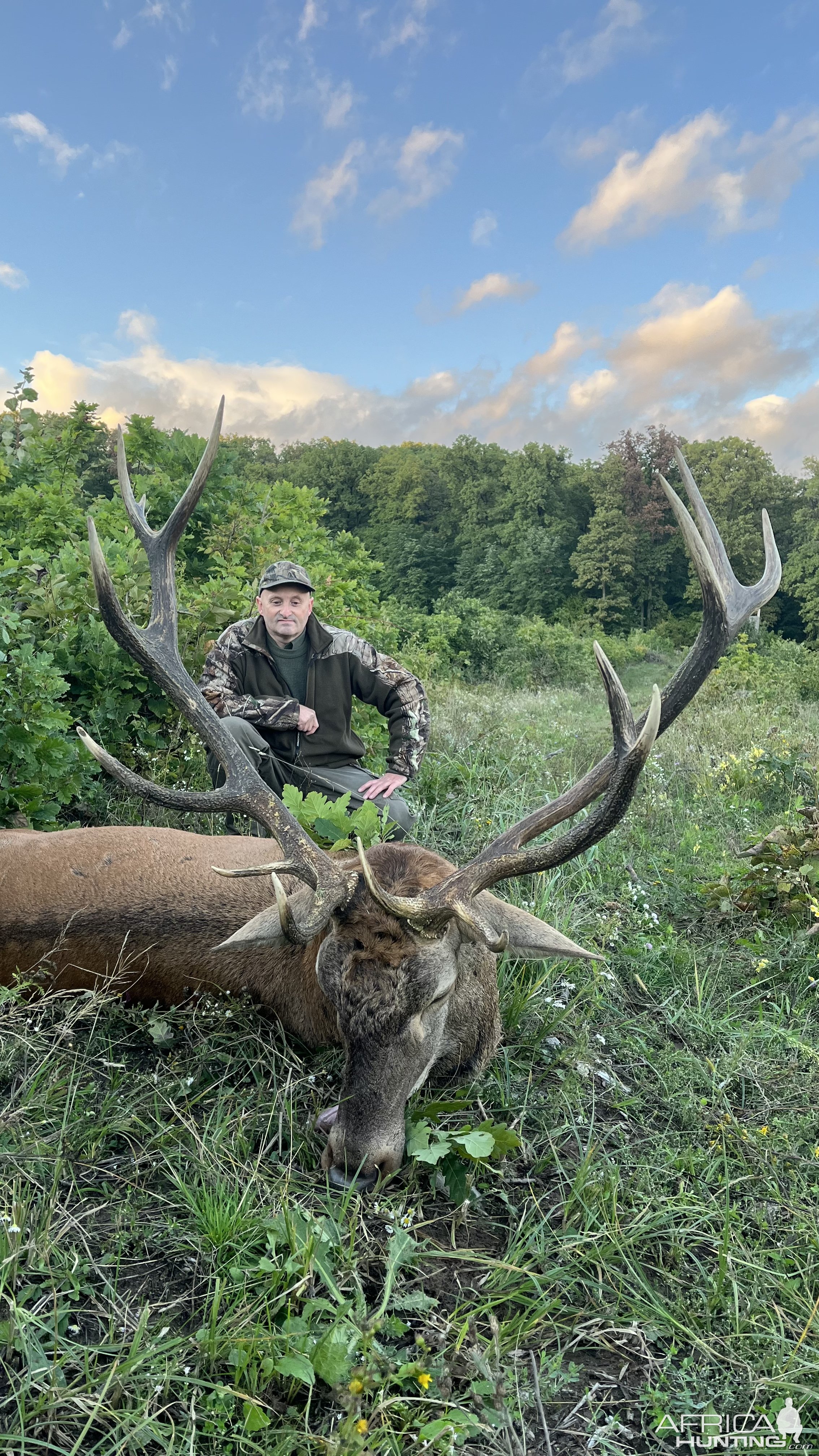 Red Deer Hunt Romania