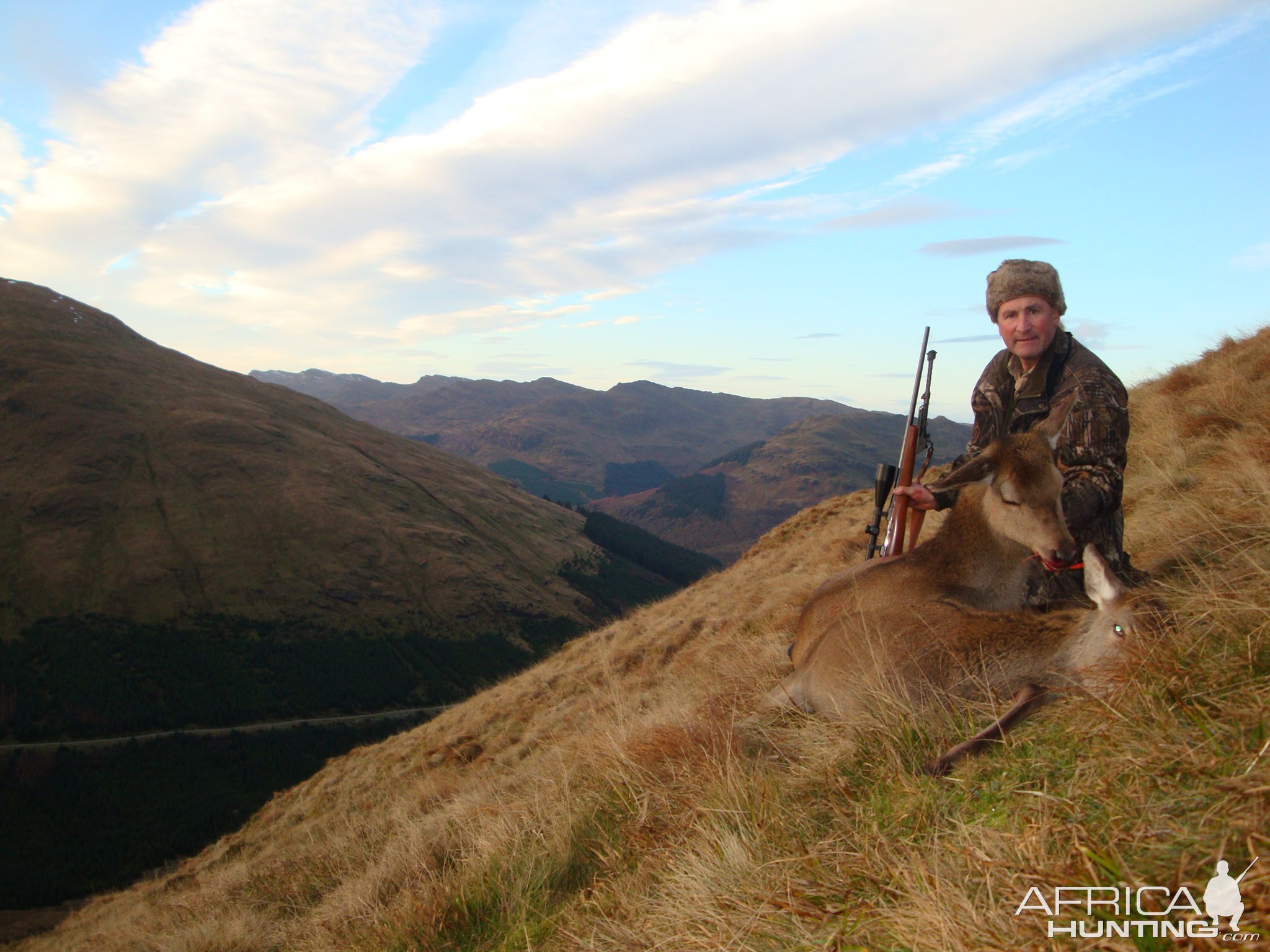 Red Deer Hunt United Kingdom