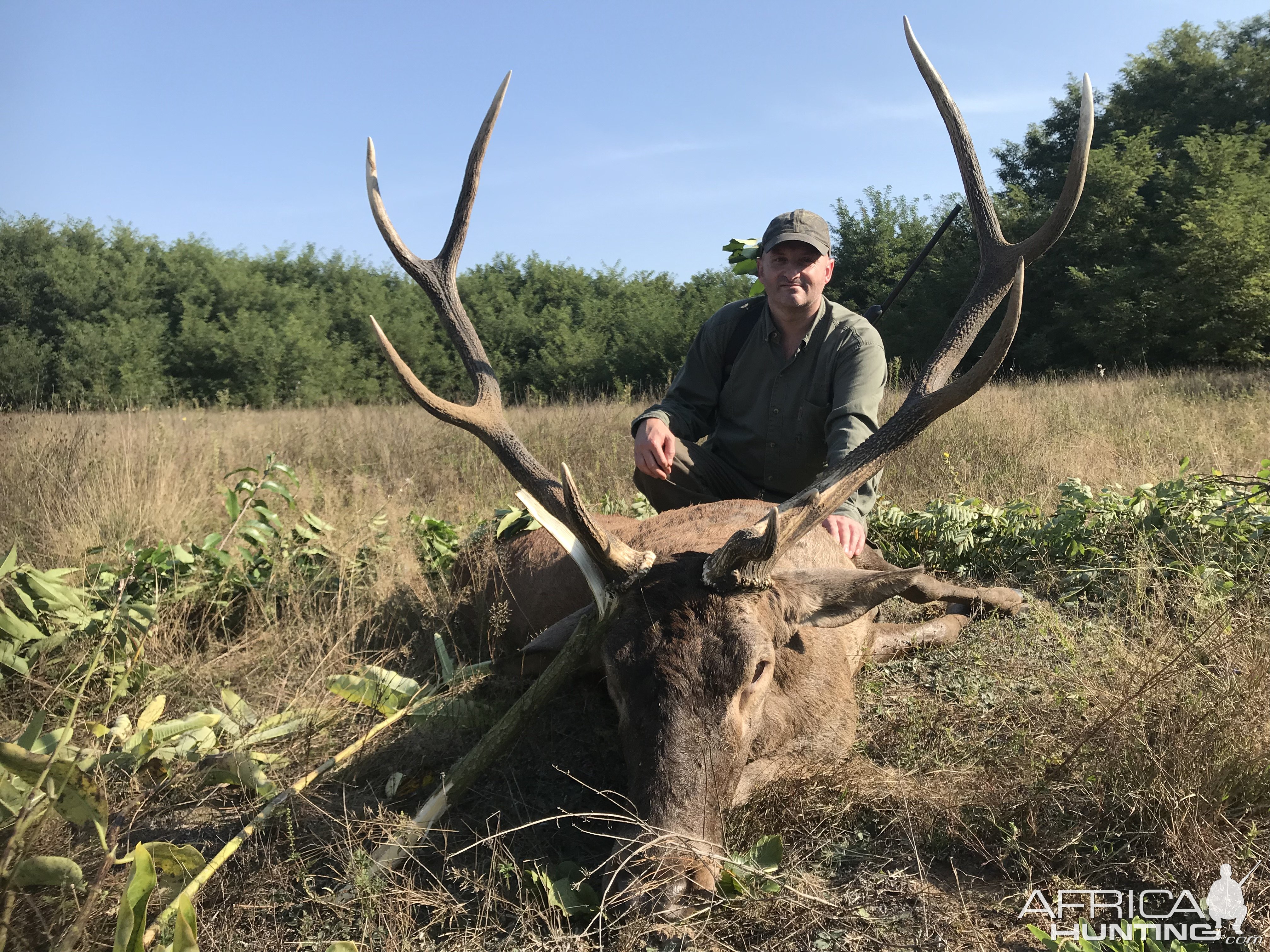 Red Deer Hunting Romania