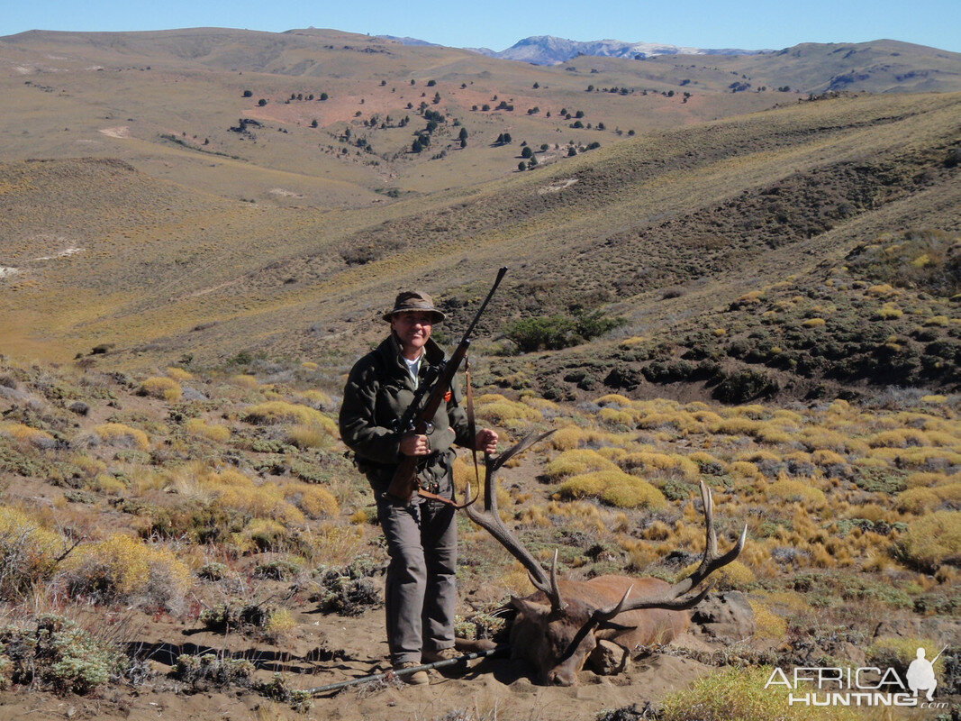 Red Deer Hunting