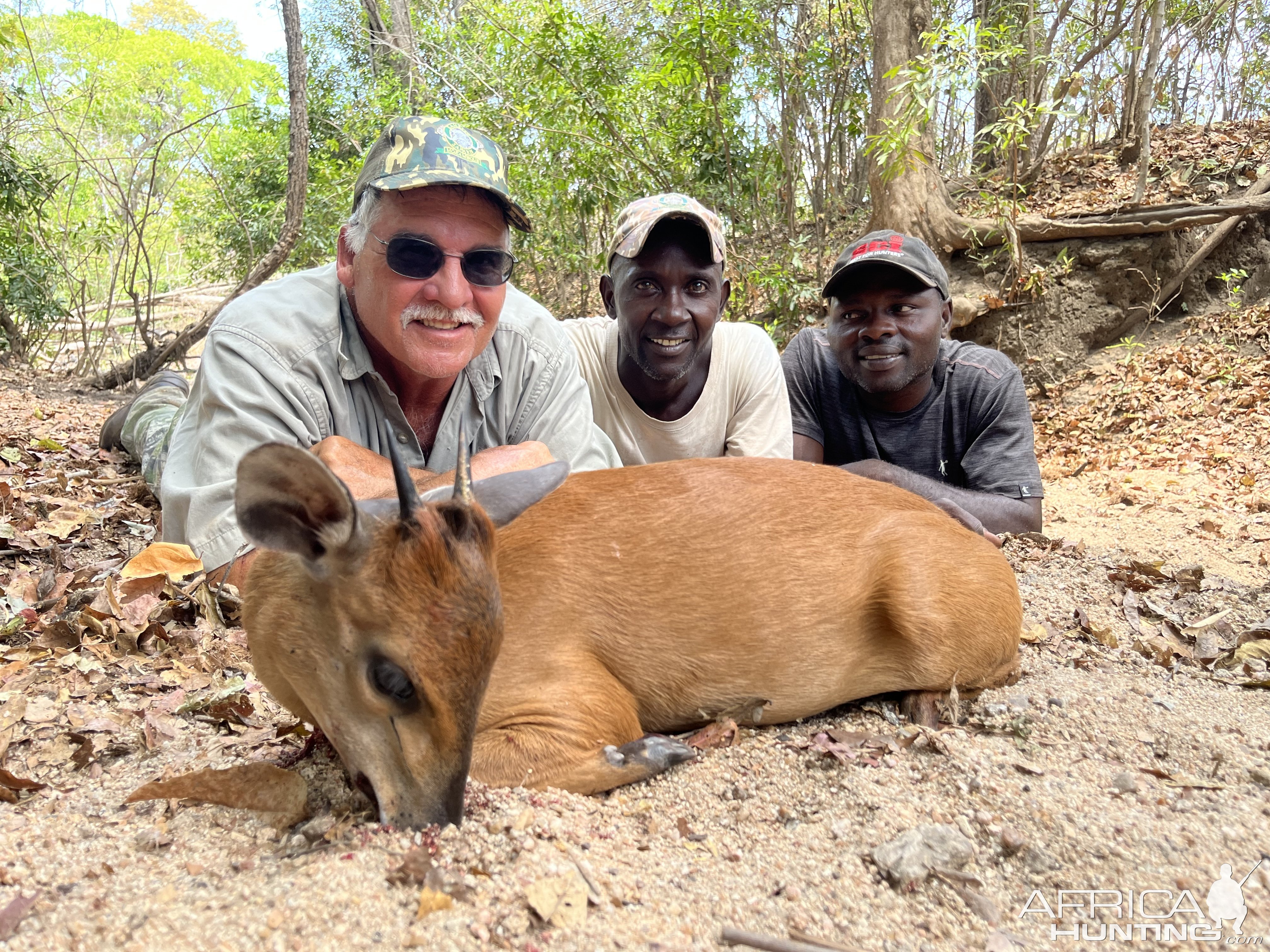 Red Duiker Hunt Mozambique