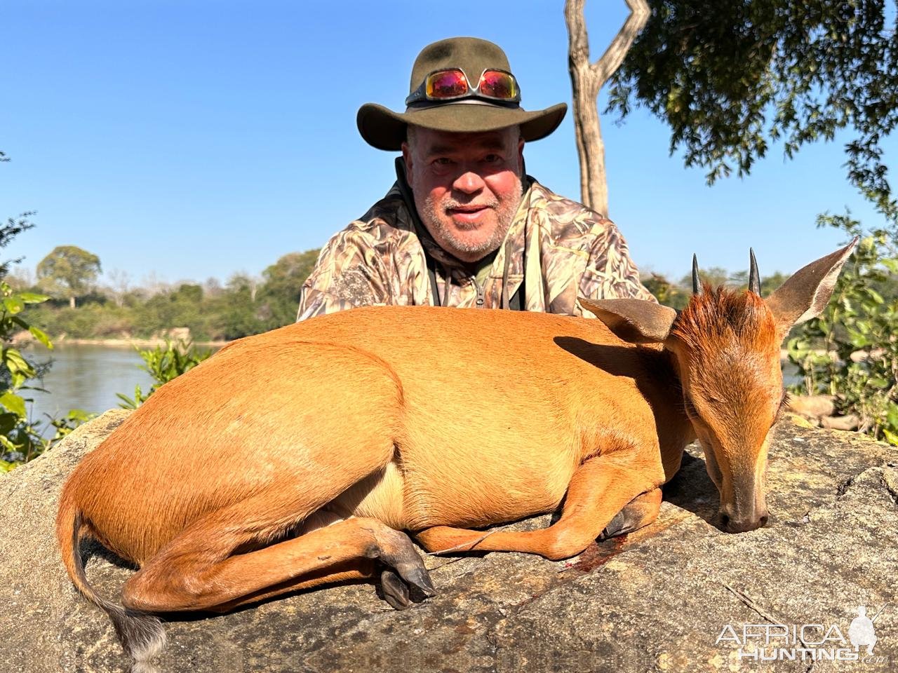 Red Duiker Hunt Mozambique