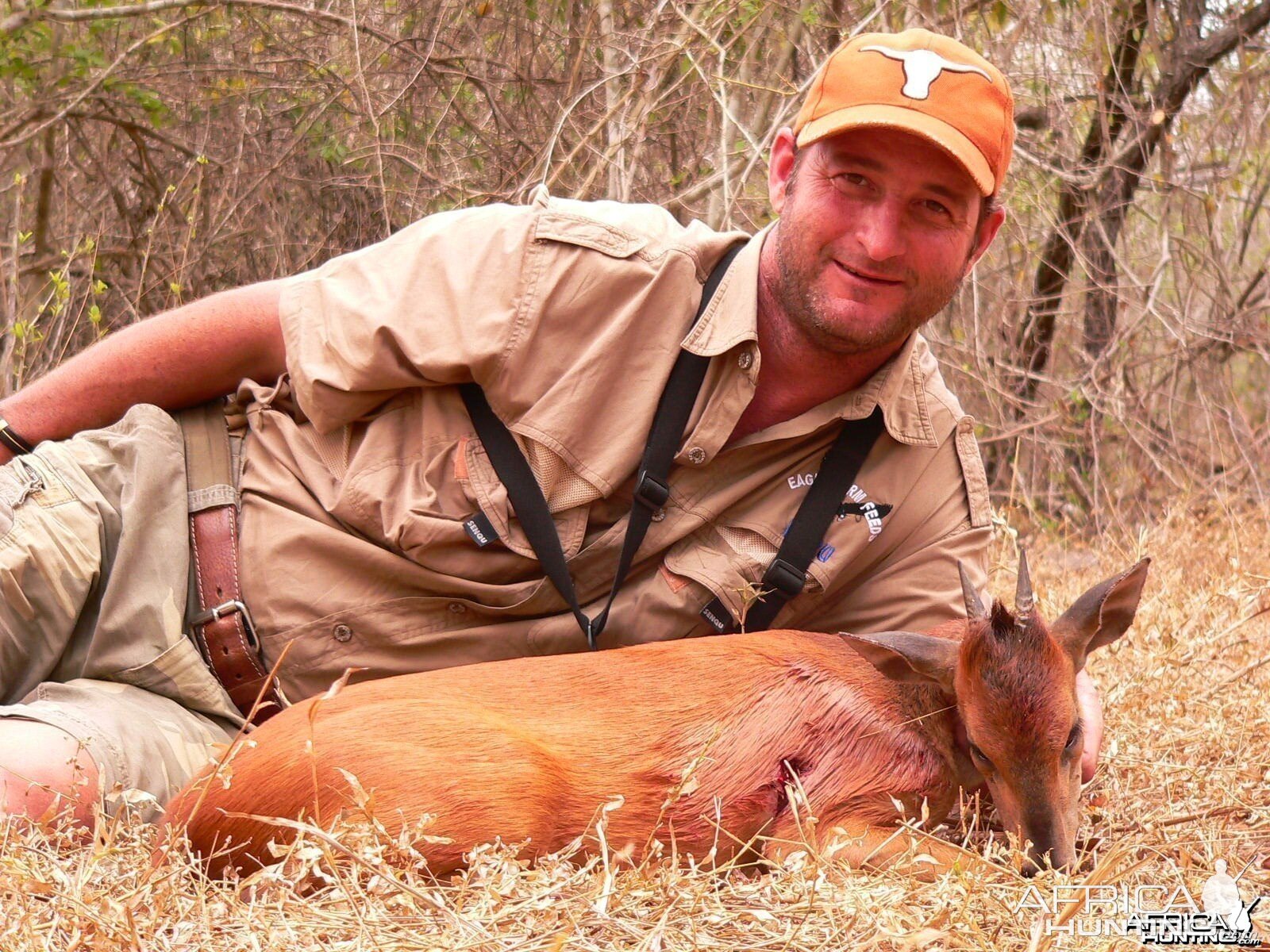 red duiker