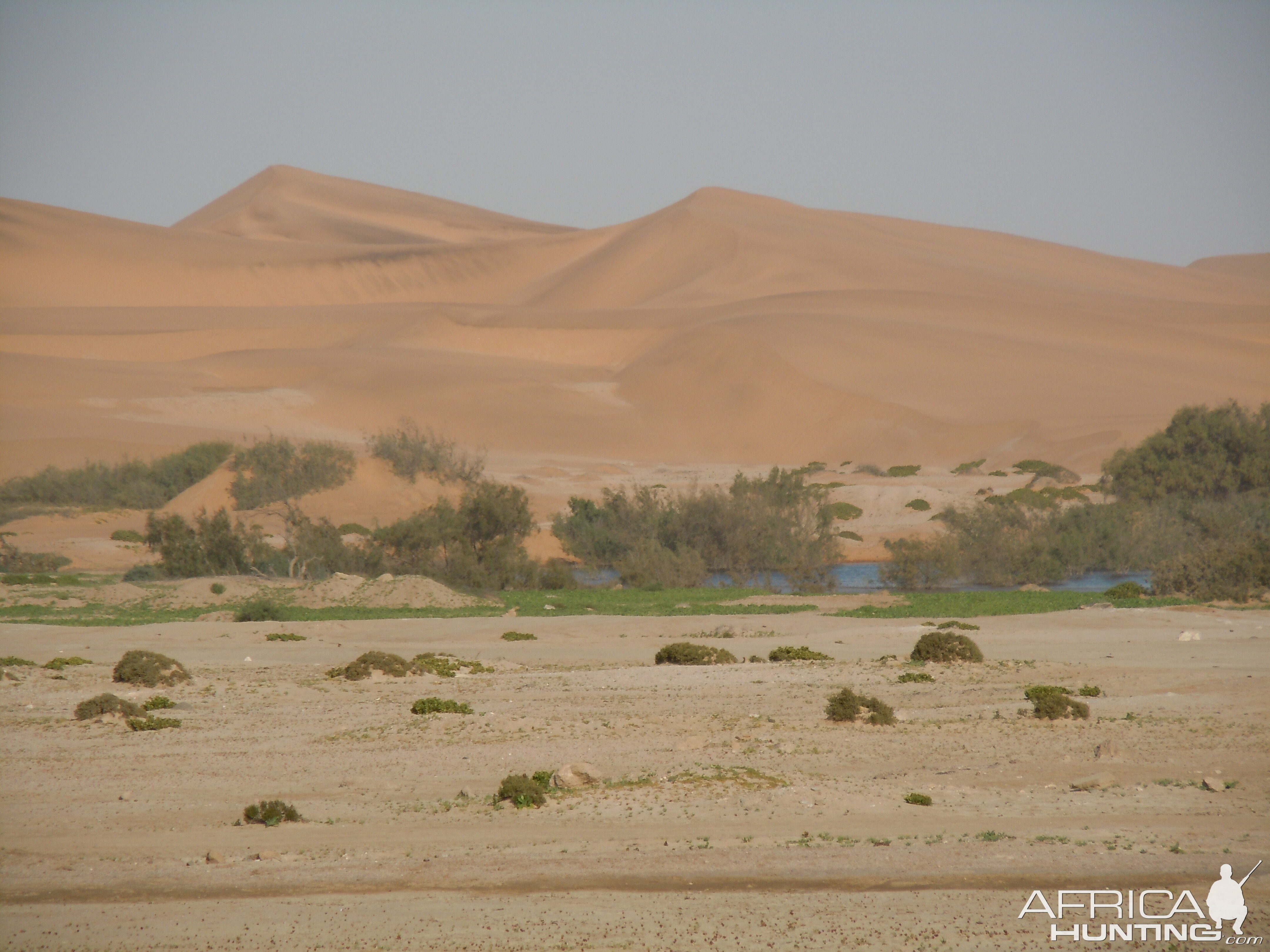 Red Dunes Swakopmund Namibia