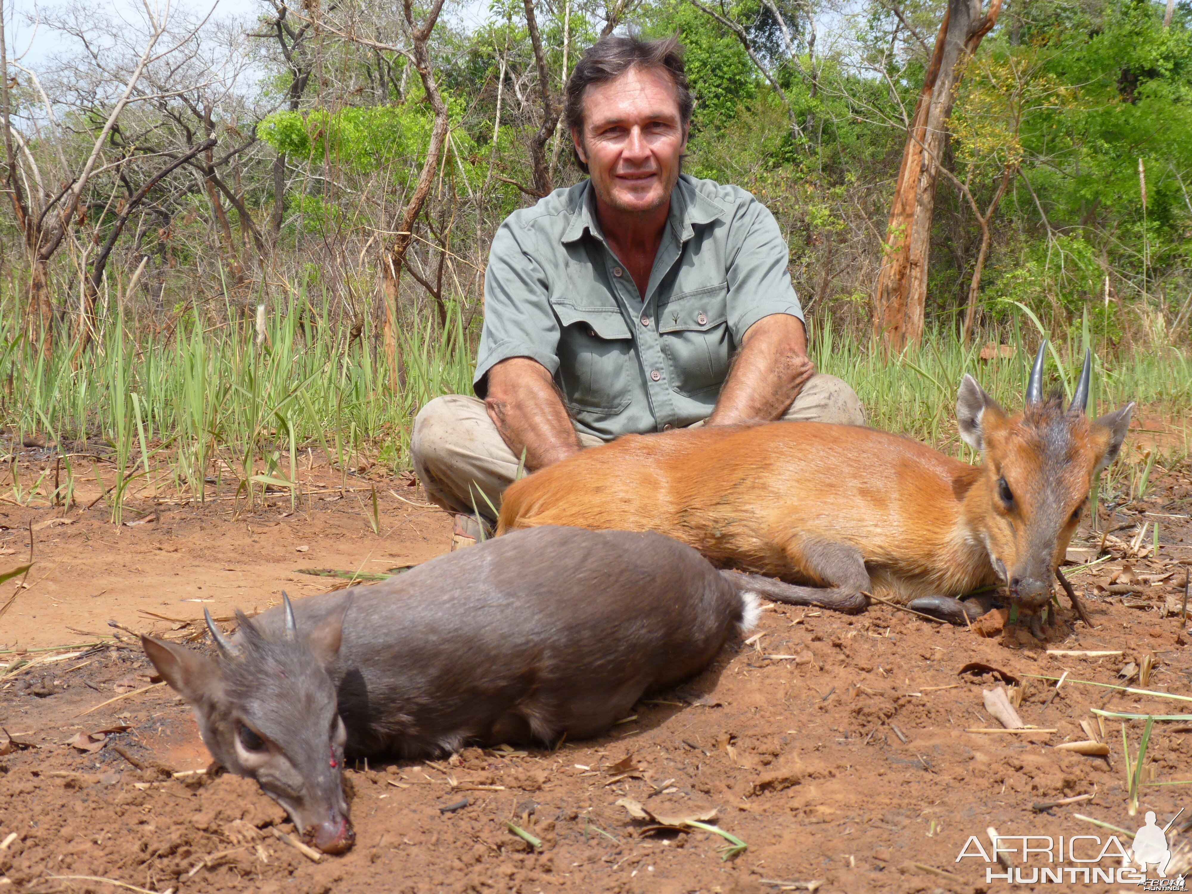 Red Flanked and Blue Duiker hunted in CAR with CAWA