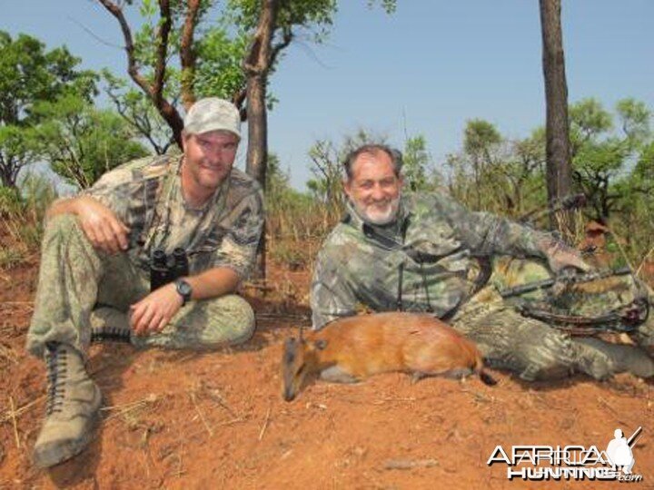 Red Flanked Duiker CAR