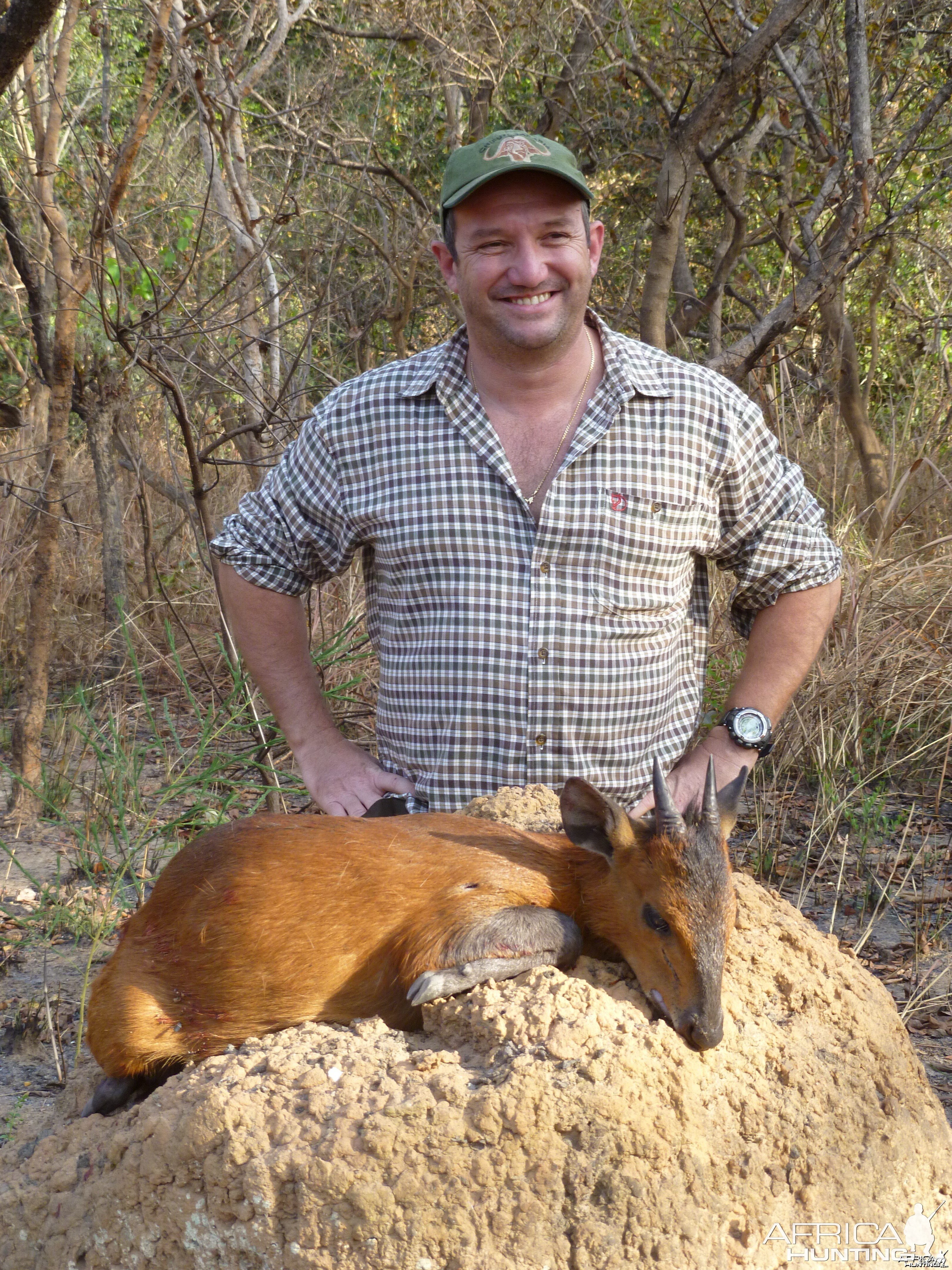 Red Flanked Duiker hunted in CAR with CAWA