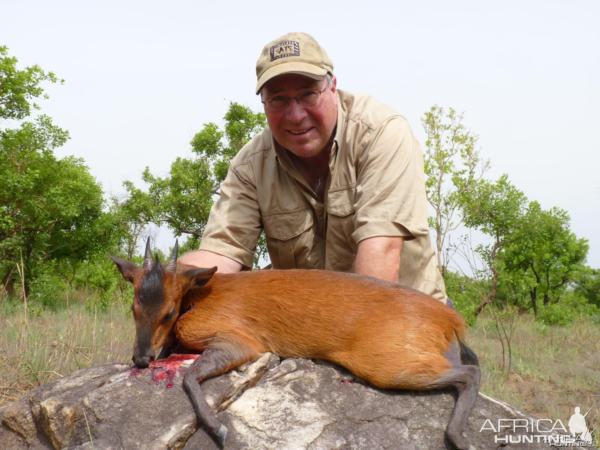 Red Flanked Duiker hunted in CAR