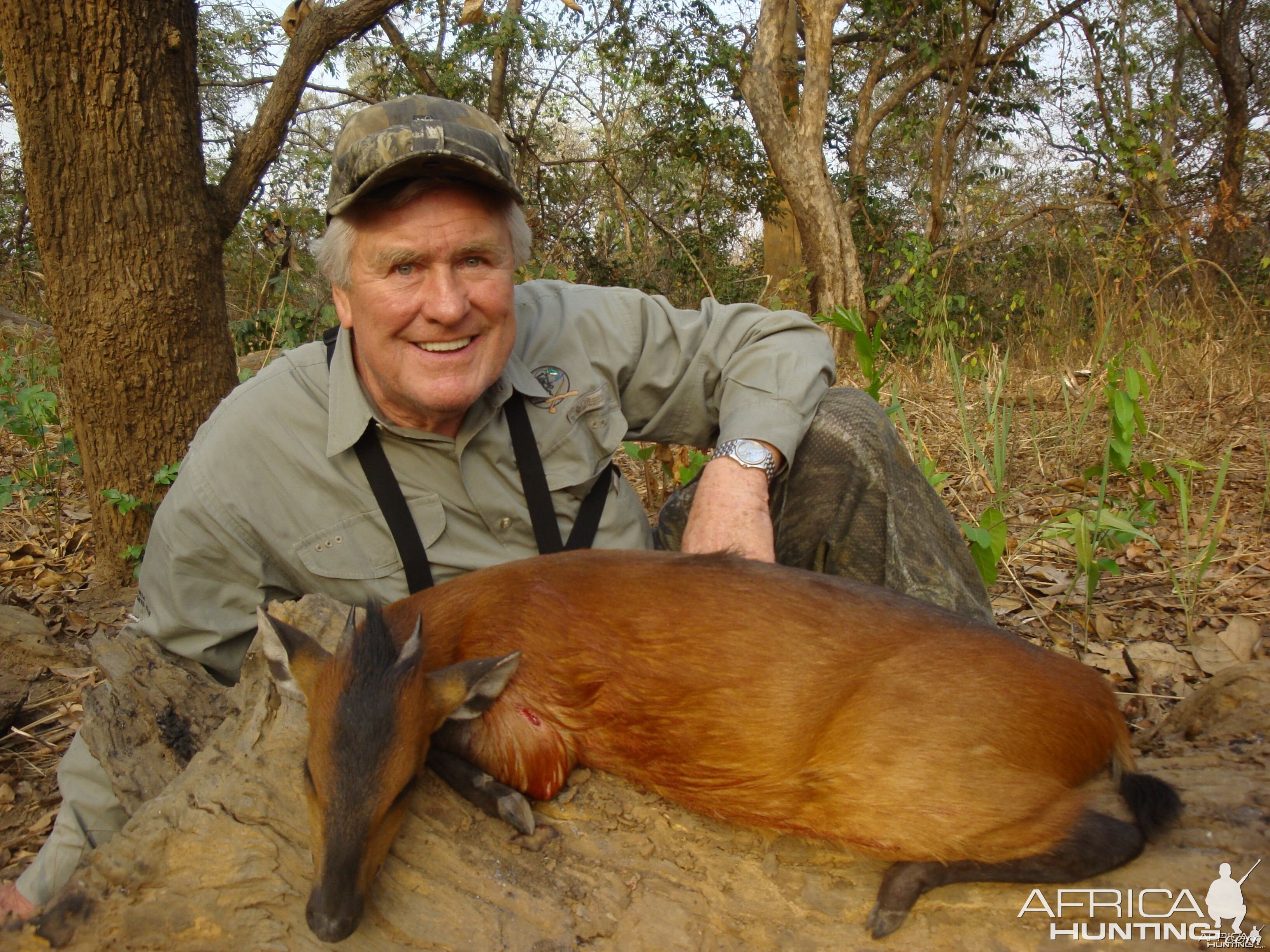 Red-Flanked Duiker hunted in Central Africa with Club Faune