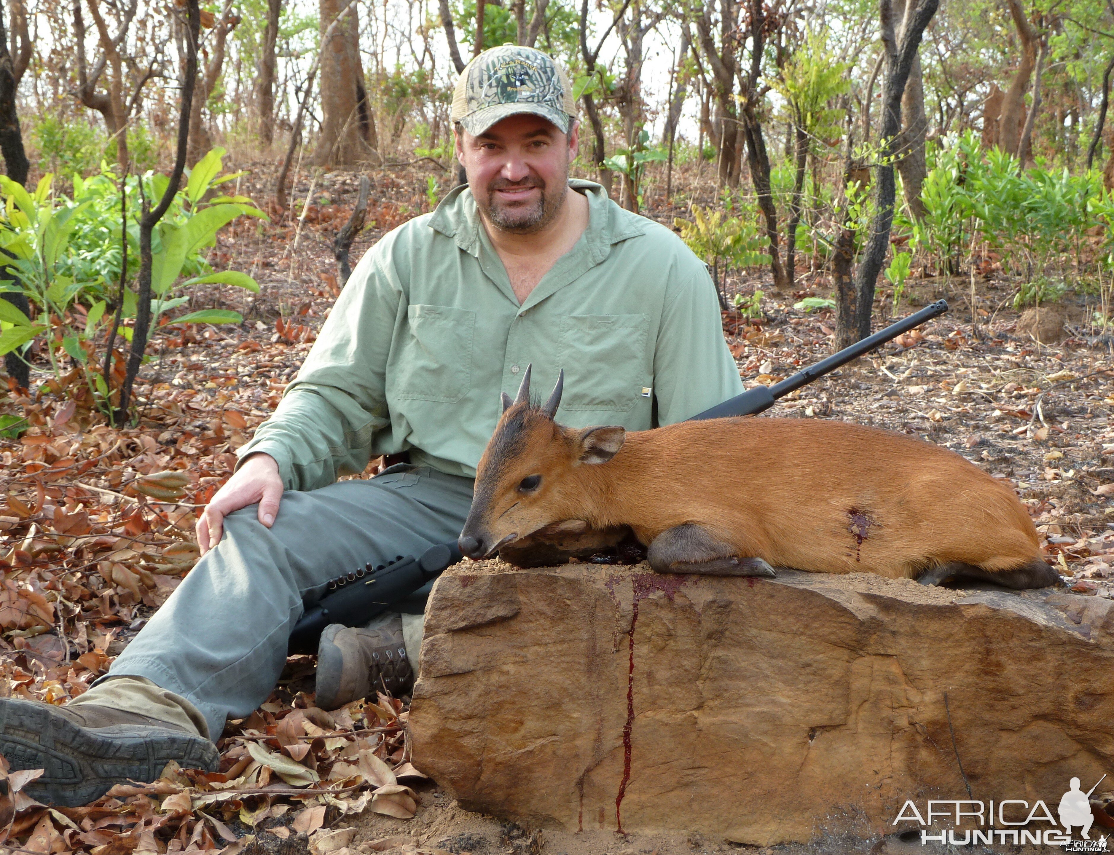 Red-Flanked Duiker hunted in Central Africa with Club Faune