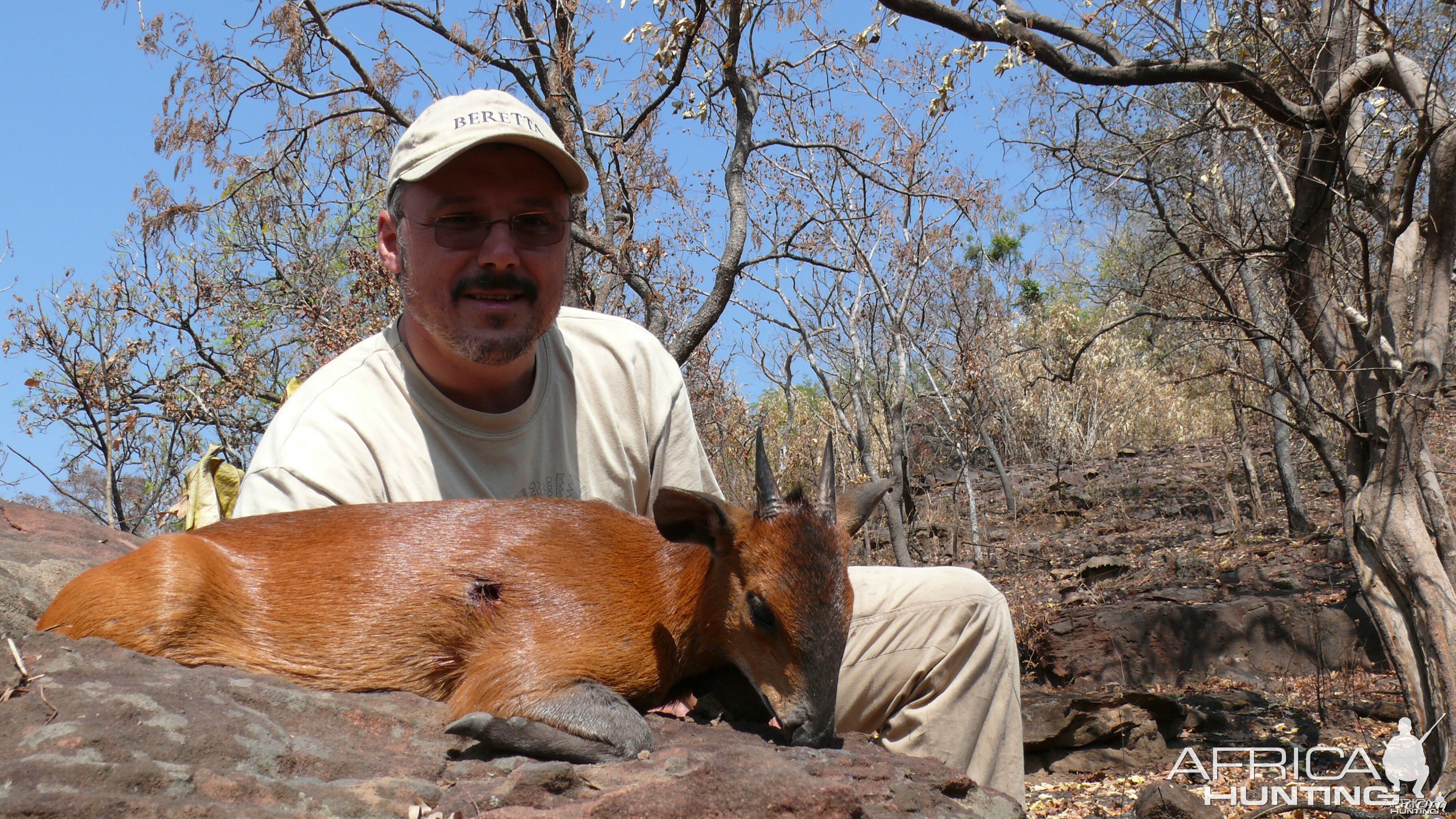 Red-Flanked Duiker hunted in Central Africa with Club Faune