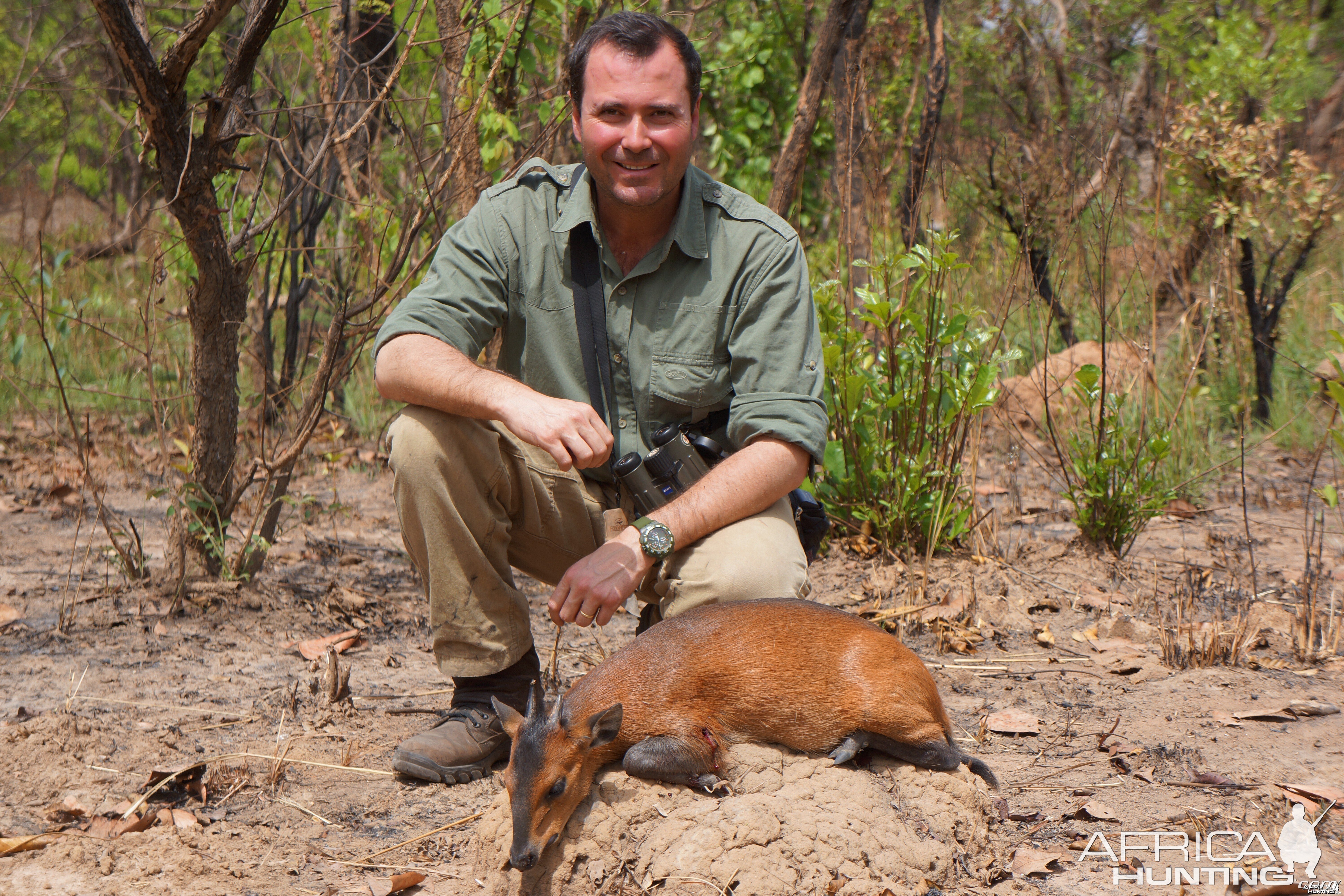 Red-Flanked Duiker