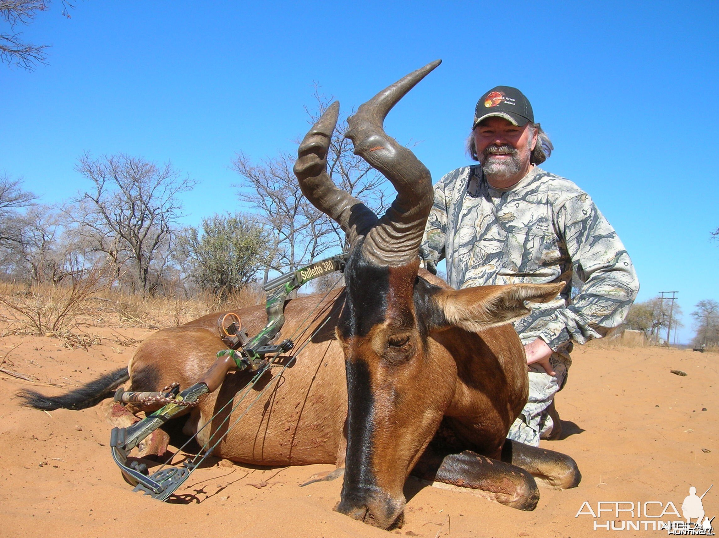 Red Hartabeest