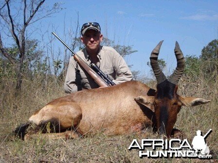 Red Hartebeest 2010