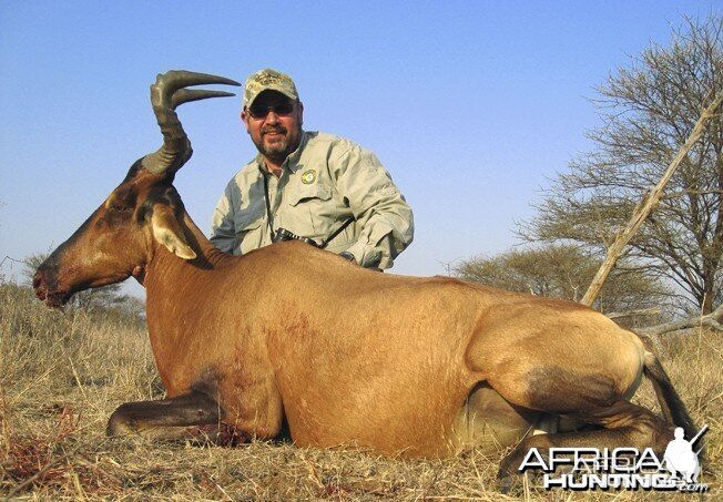 Red Hartebeest Blaser R93. 338 Win Mag. Limpopo 2008.