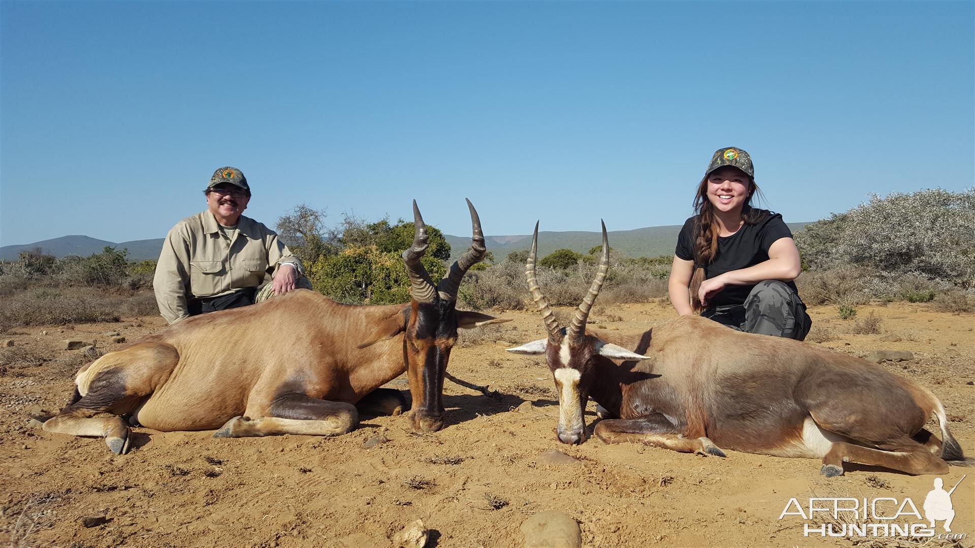 Red Hartebeest & Blesbok Hunt South Africa