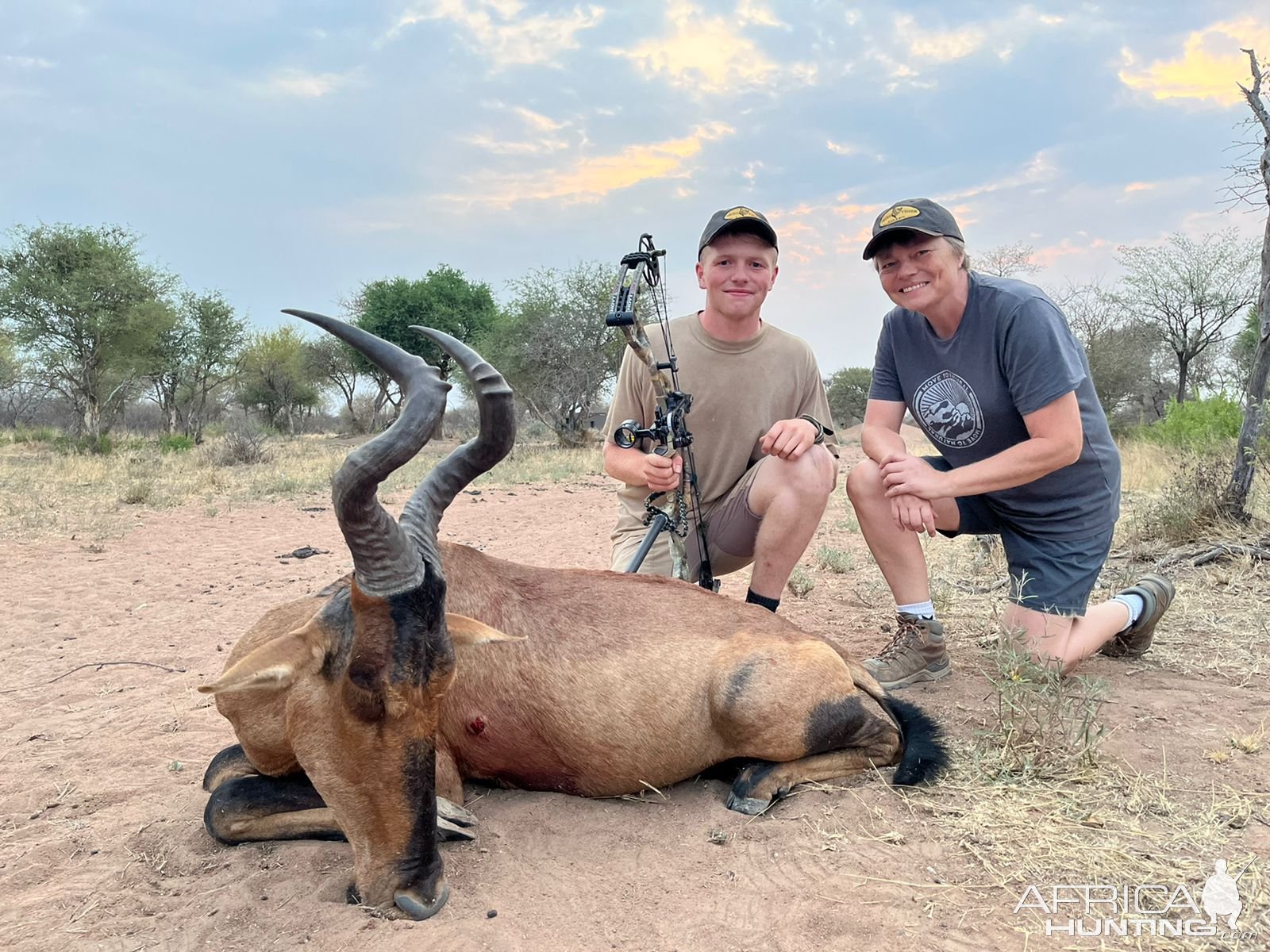 Red Hartebeest Bow Hunt South Africa