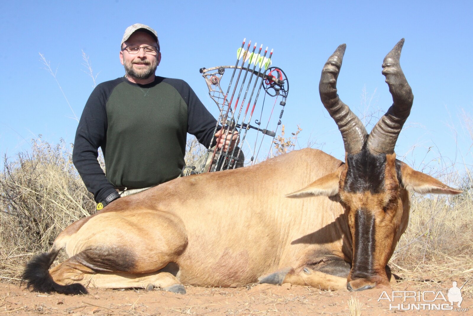 Red Hartebeest Bow Hunt South Africa