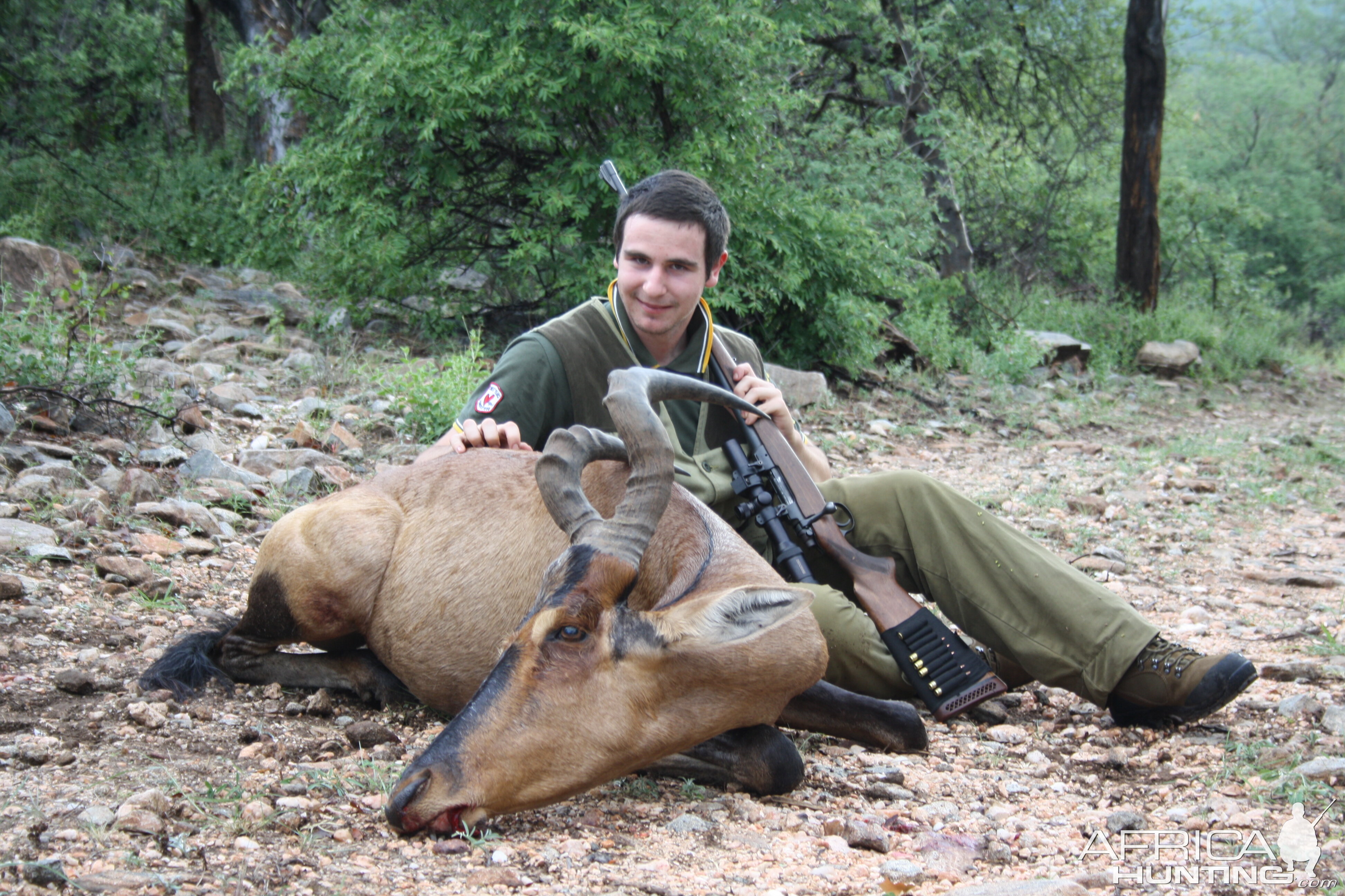 Red Hartebeest from South Africa