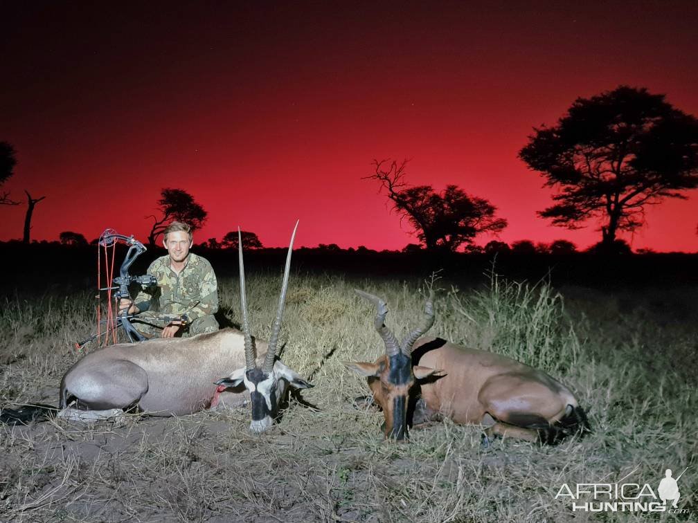 Red Hartebeest & Gemsbok Bow Hunting Namibia