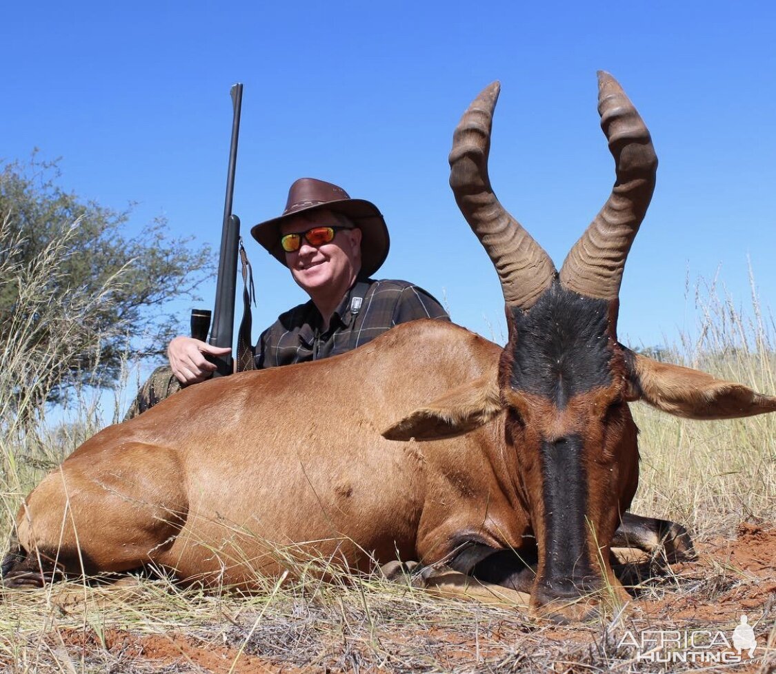 Red Hartebeest Guided by Zana Botes