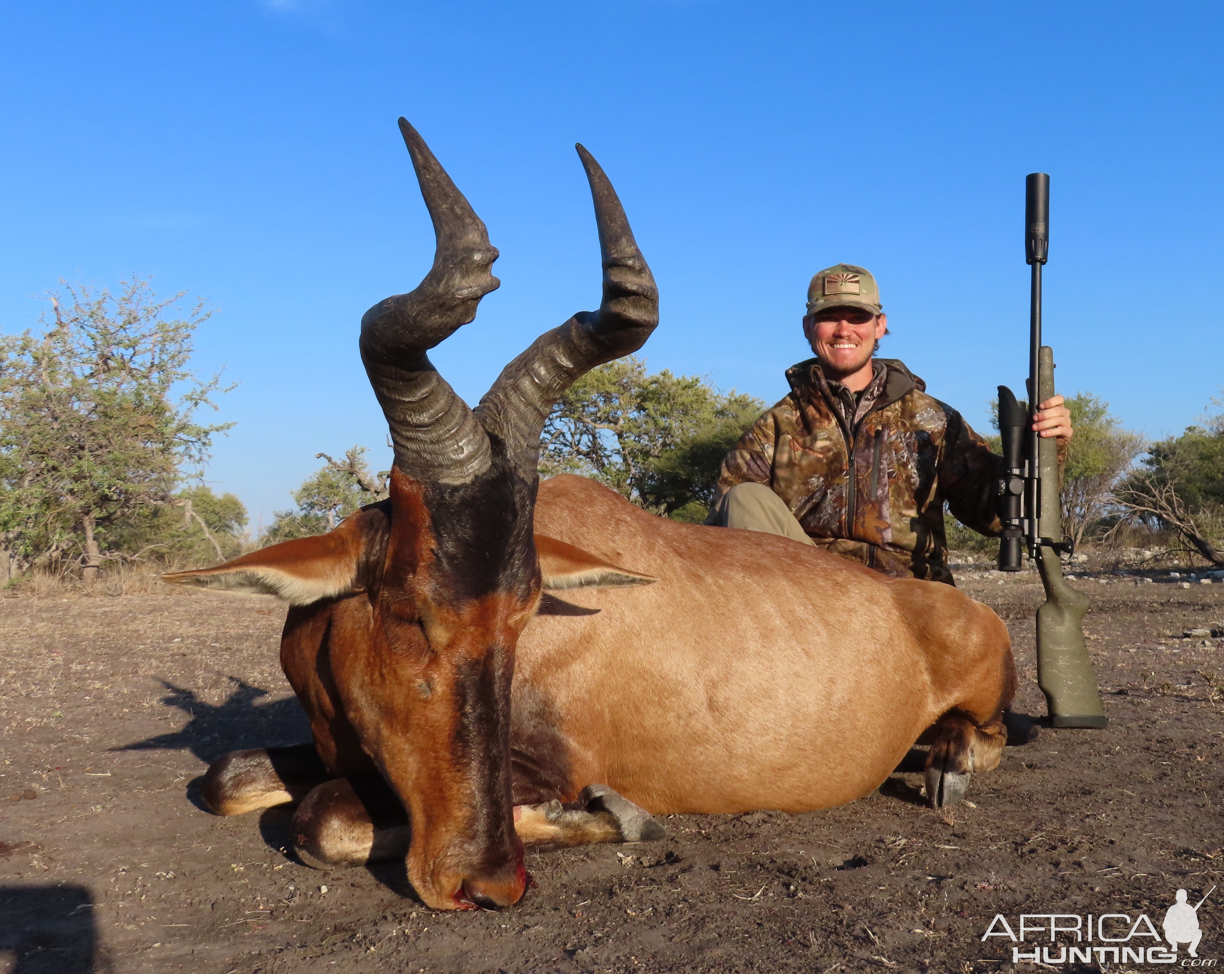 Red Hartebeest Hunt Botswana