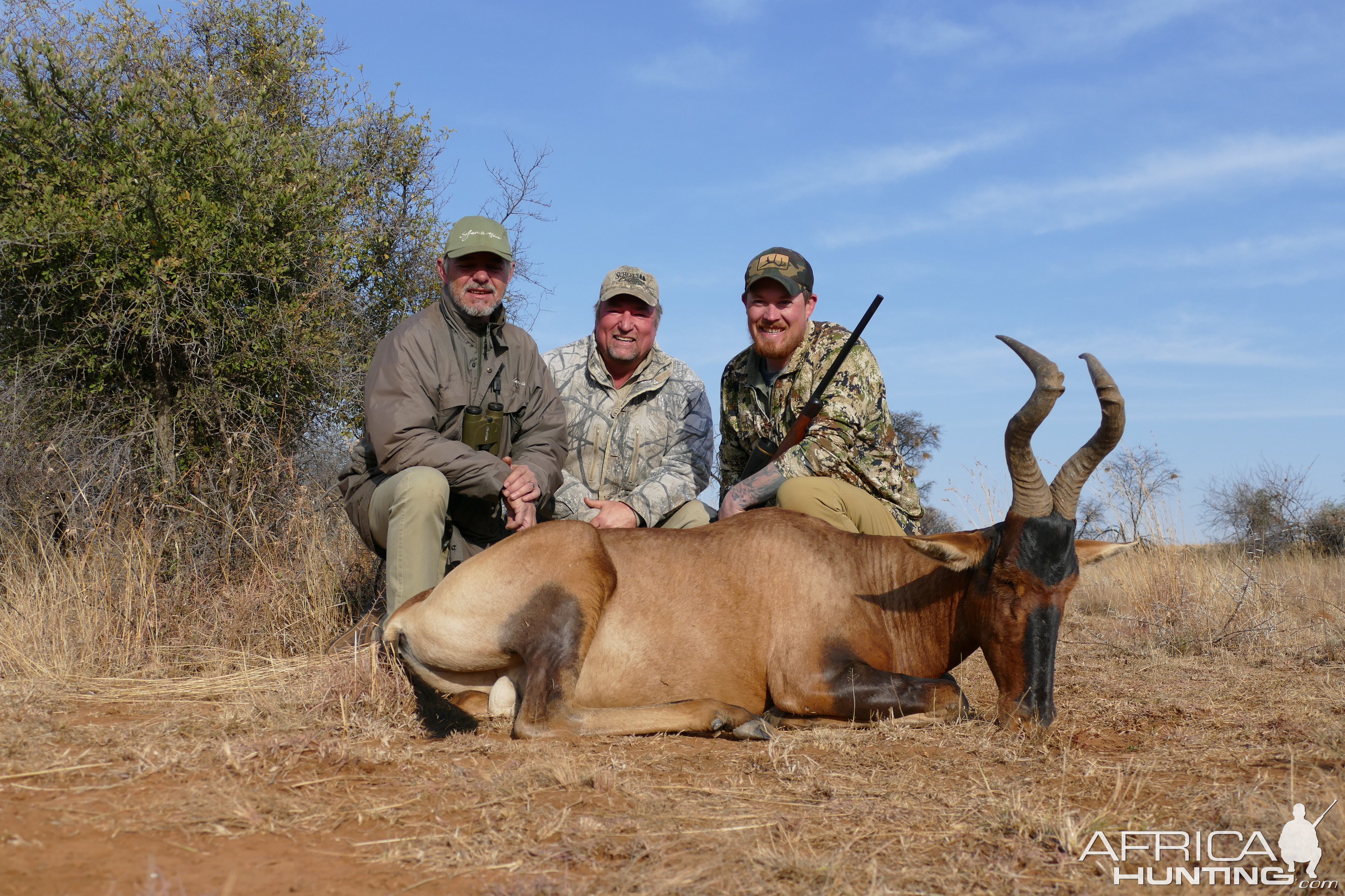 Red Hartebeest Hunt Free State South Africa