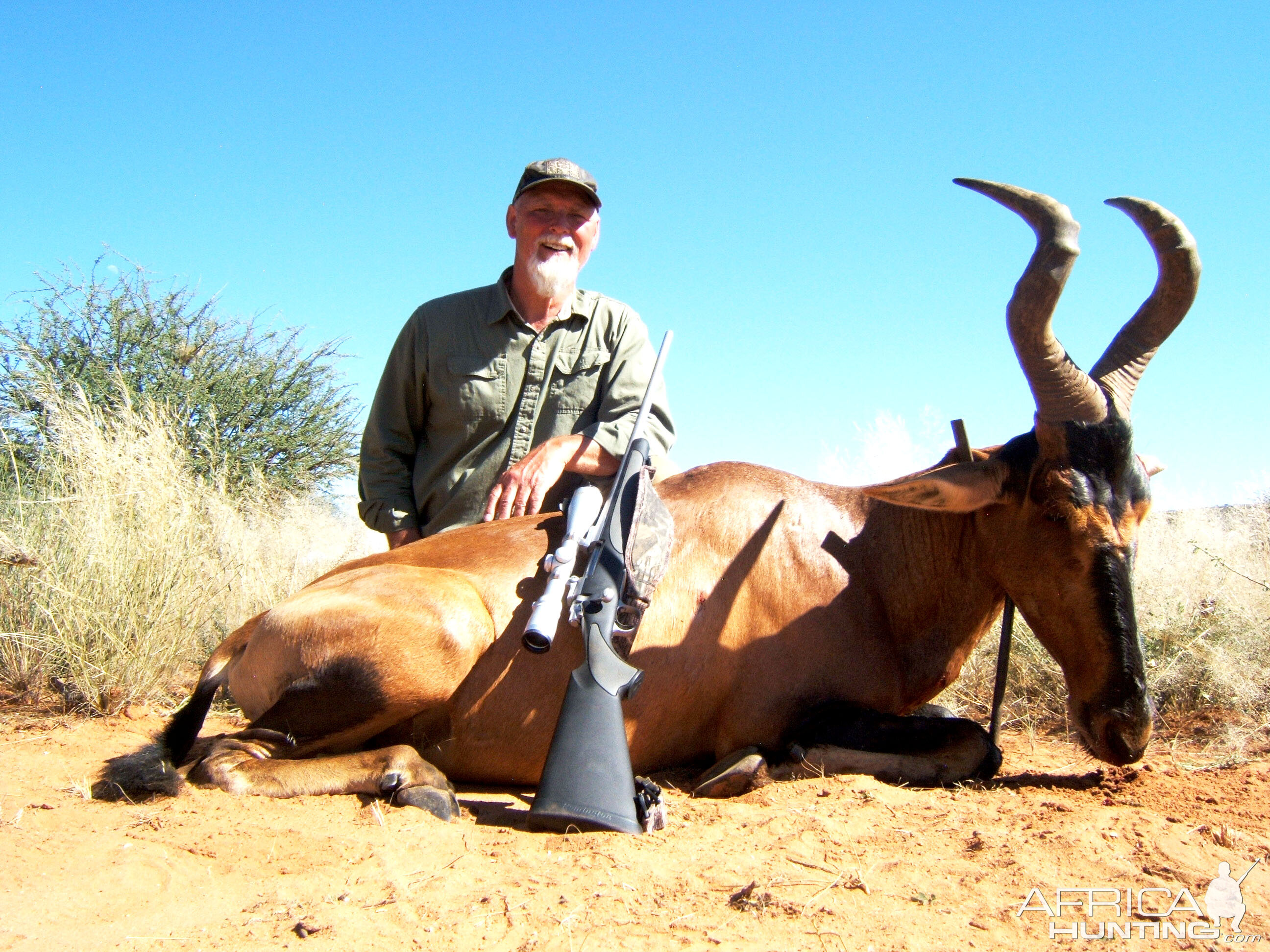 Red Hartebeest Hunt in Namibia