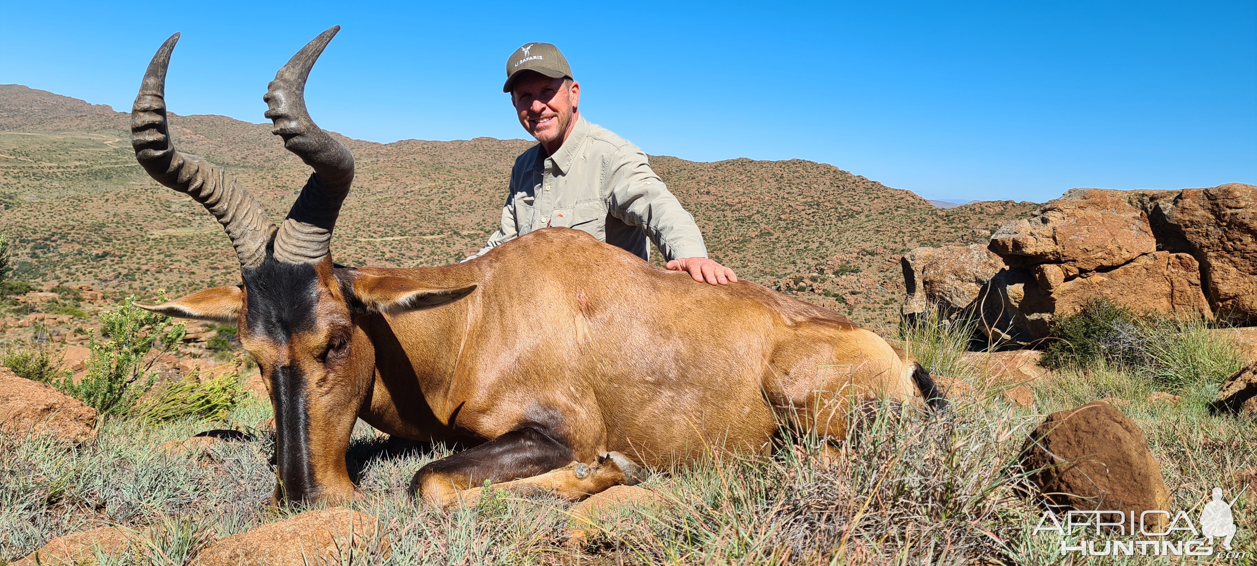 Red Hartebeest Hunt Karoo South Africa