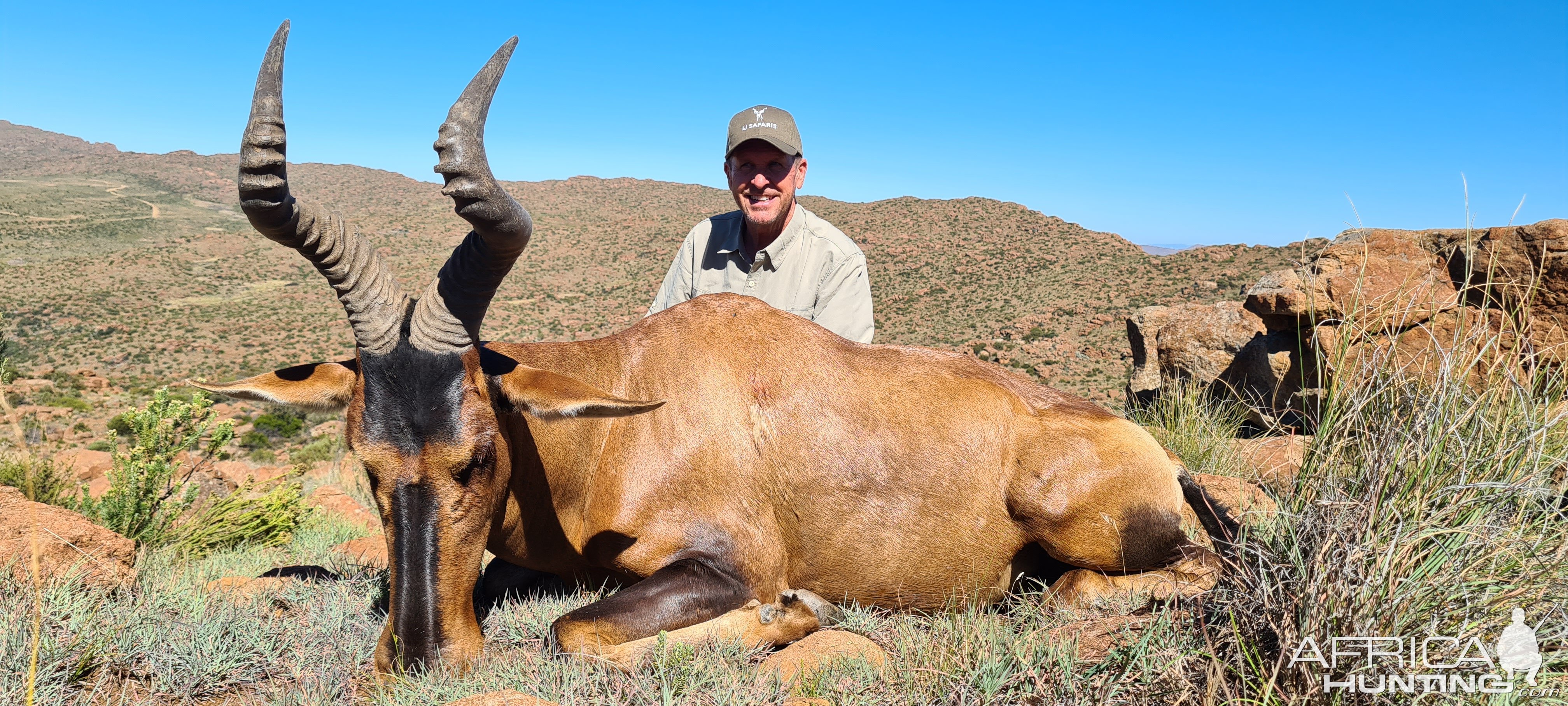 Red Hartebeest Hunt Karoo South Africa