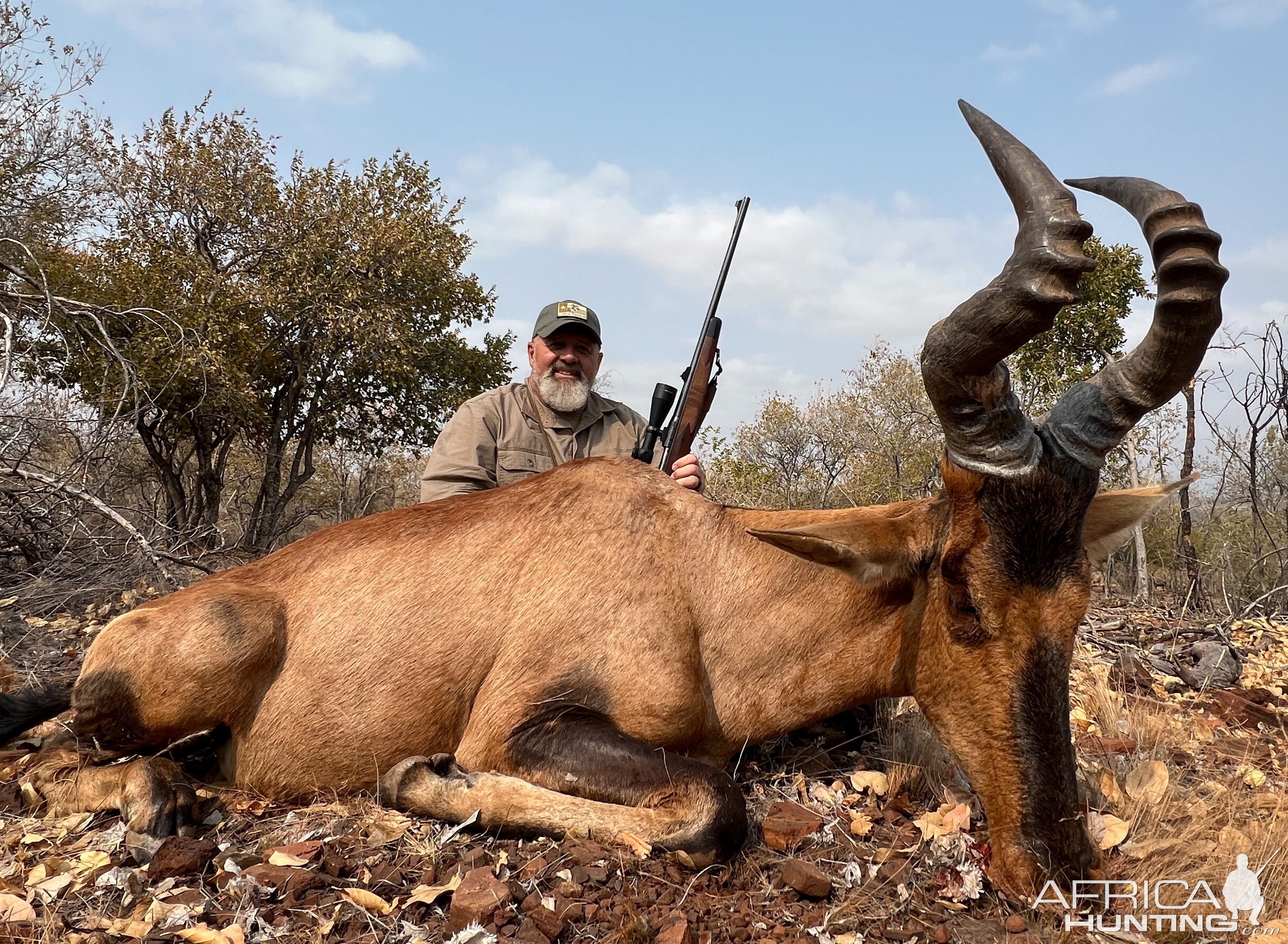 Red Hartebeest Hunt Limpopo South Africa