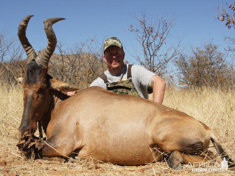 Red Hartebeest Hunt Nambia