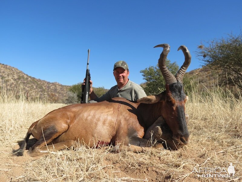 Red Hartebeest Hunt Nambia