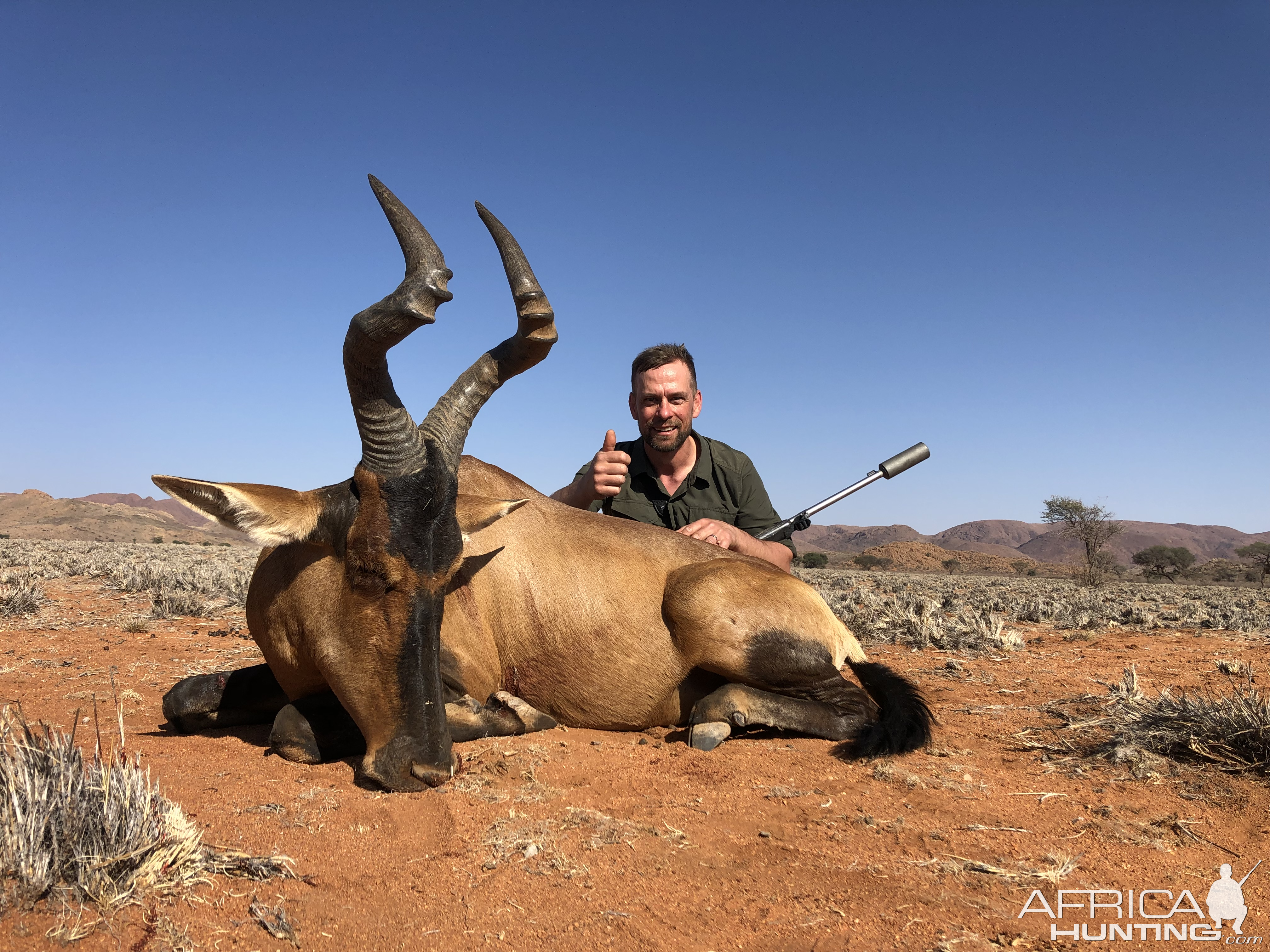 Red Hartebeest Hunt Namibia