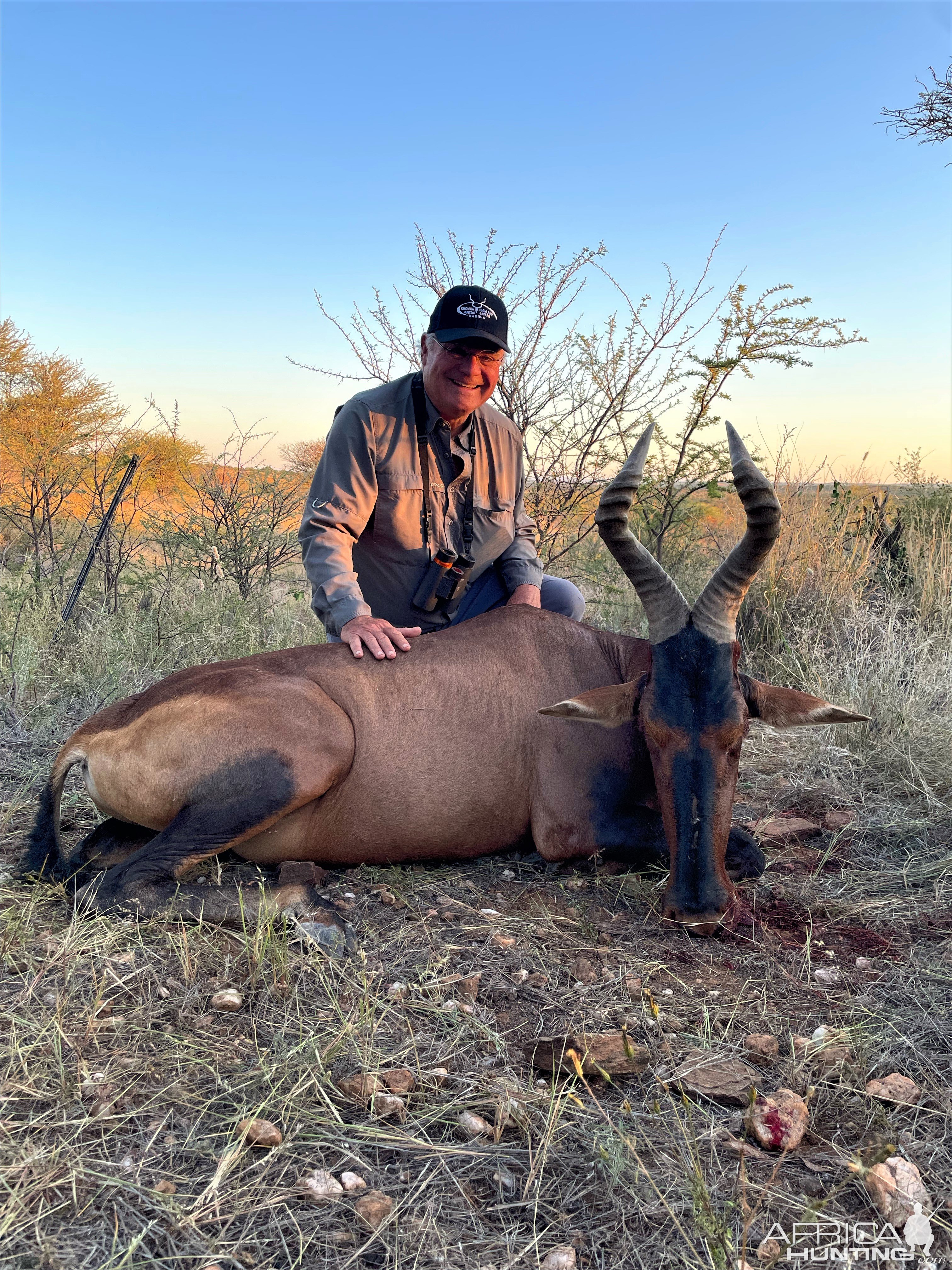 Red Hartebeest Hunt Namibia