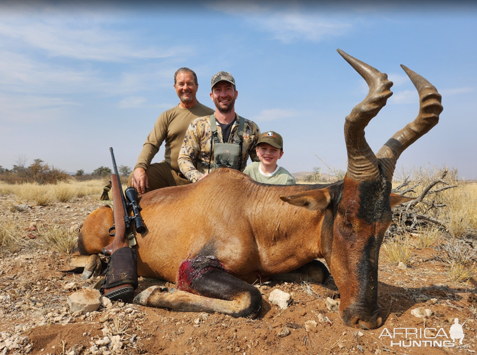 Red Hartebeest Hunt Namibia