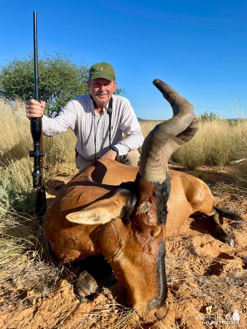 Red Hartebeest Hunt Namibia