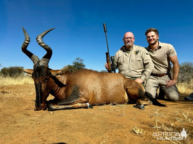 Red Hartebeest Hunt Namibia