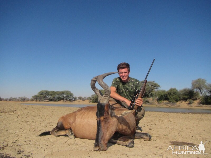 Red hartebeest Hunt Namibia