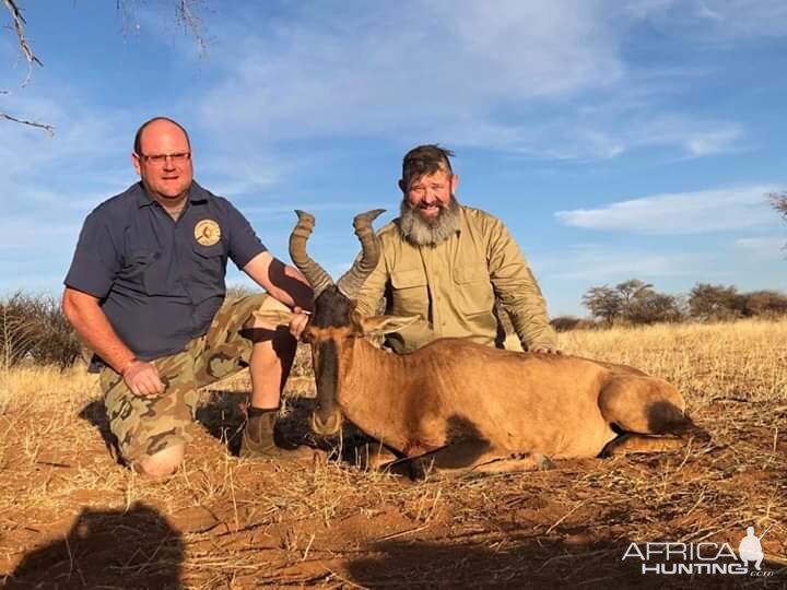 Red Hartebeest Hunt Namibia