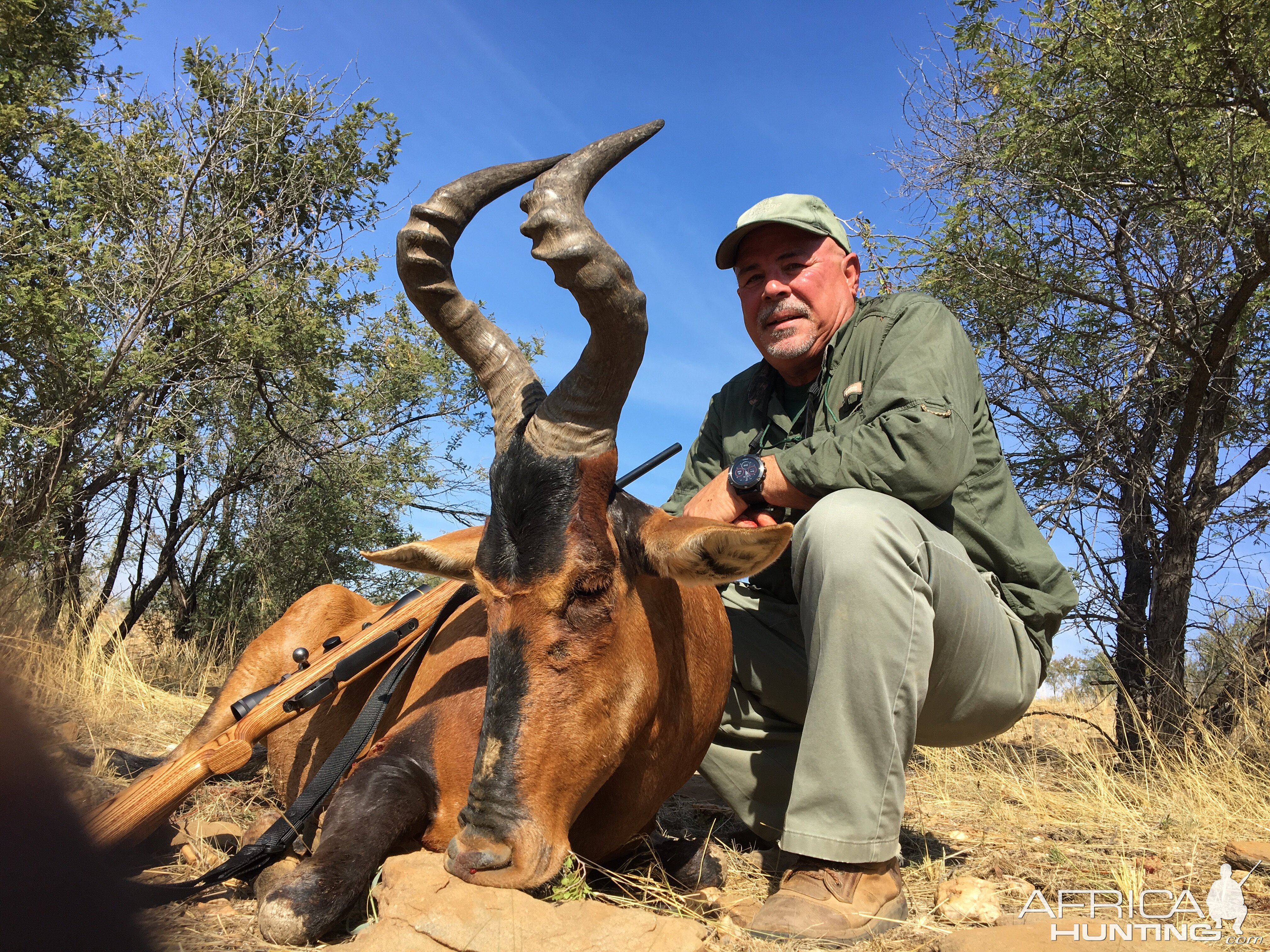 Red Hartebeest Hunt Namibia