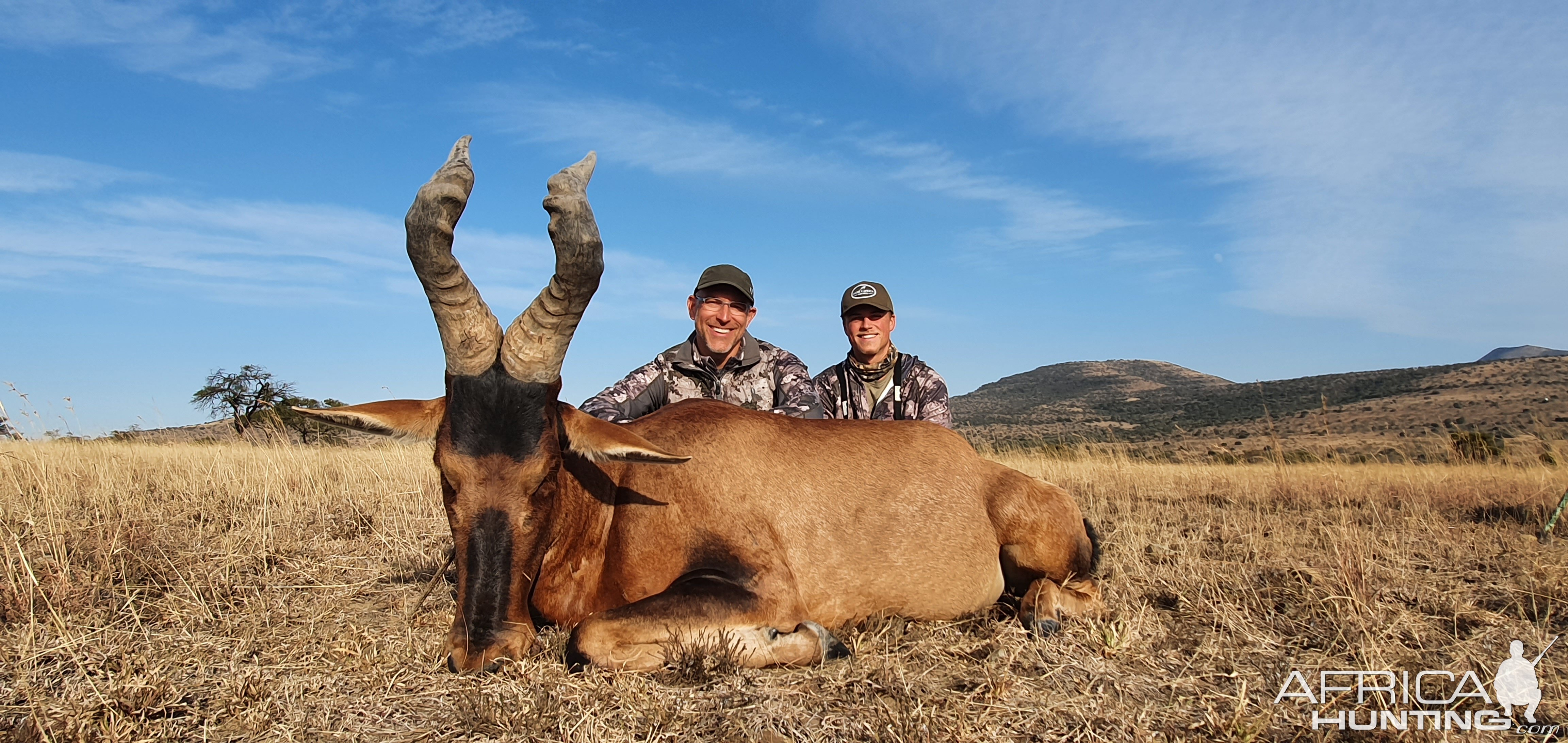 Red Hartebeest Hunt South Africa