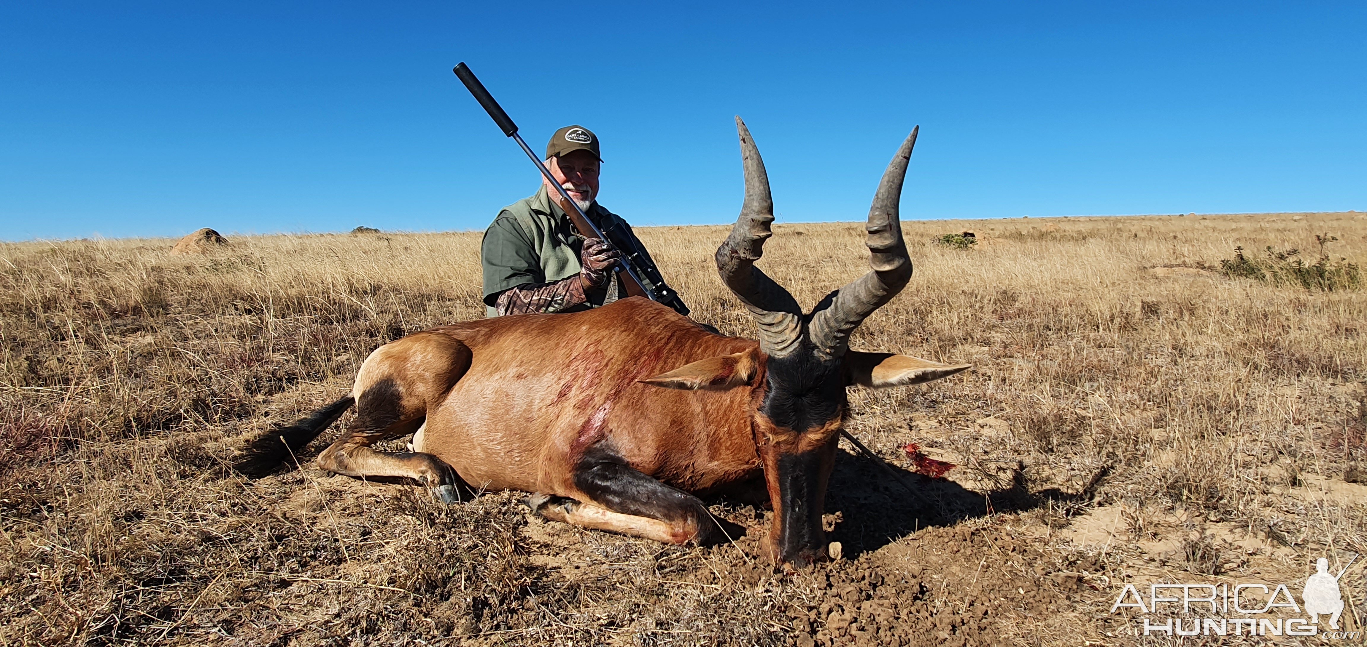 Red Hartebeest Hunt South Africa