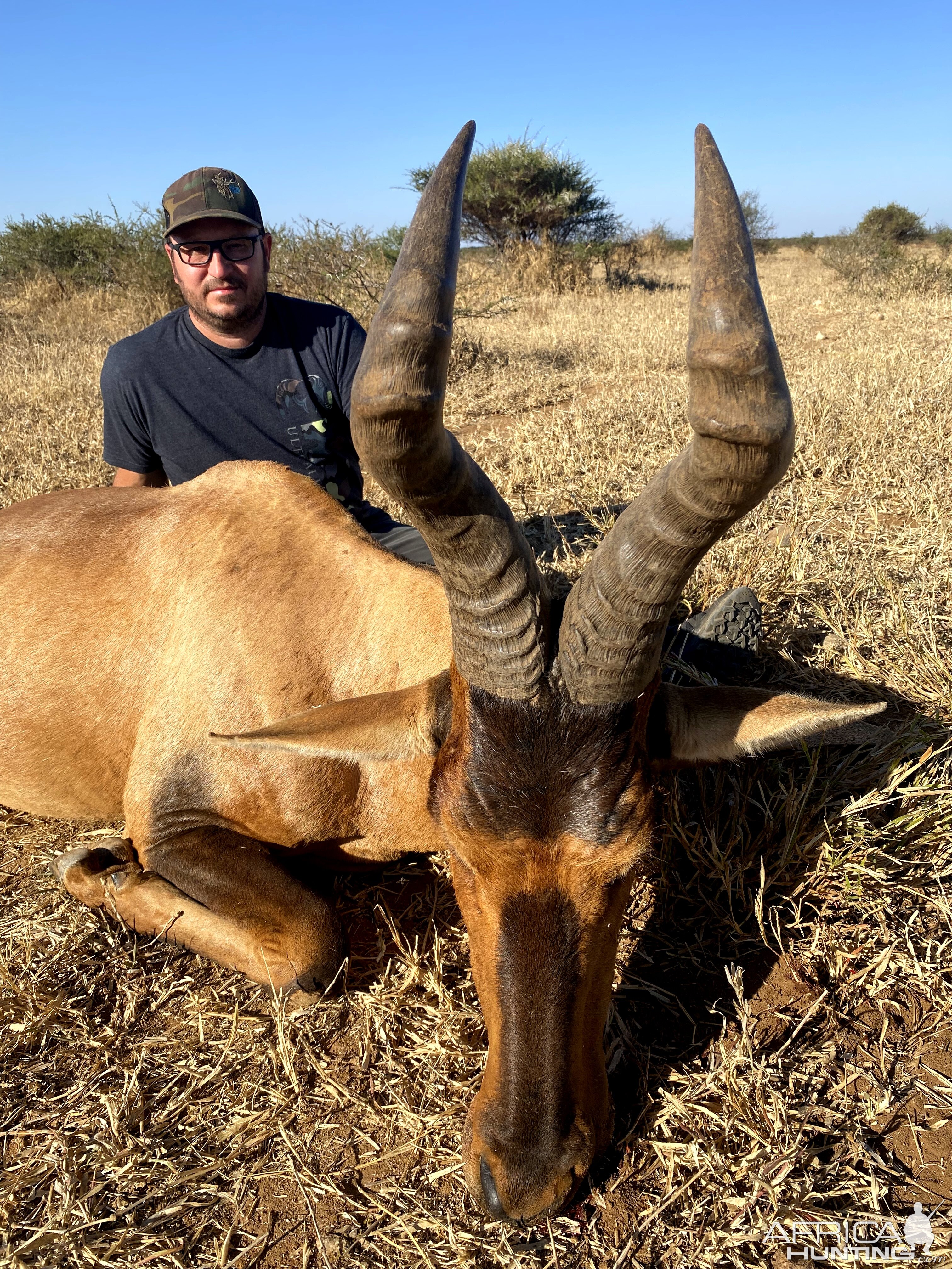 Red Hartebeest Hunt South Africa