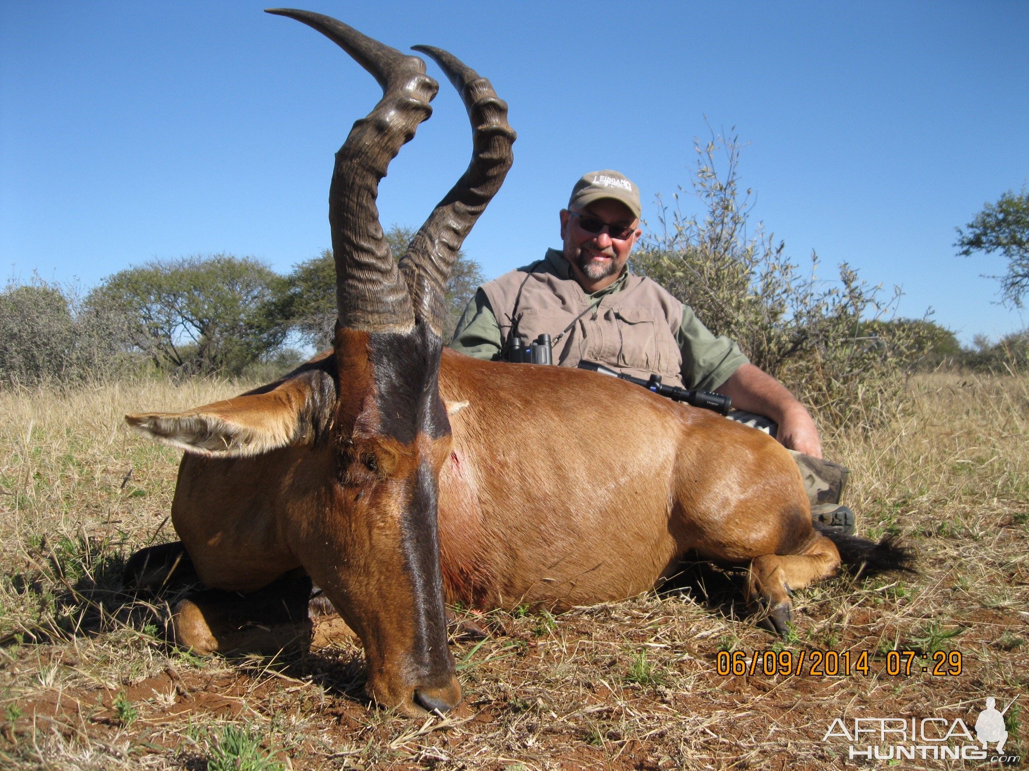 Red Hartebeest Hunt South Africa