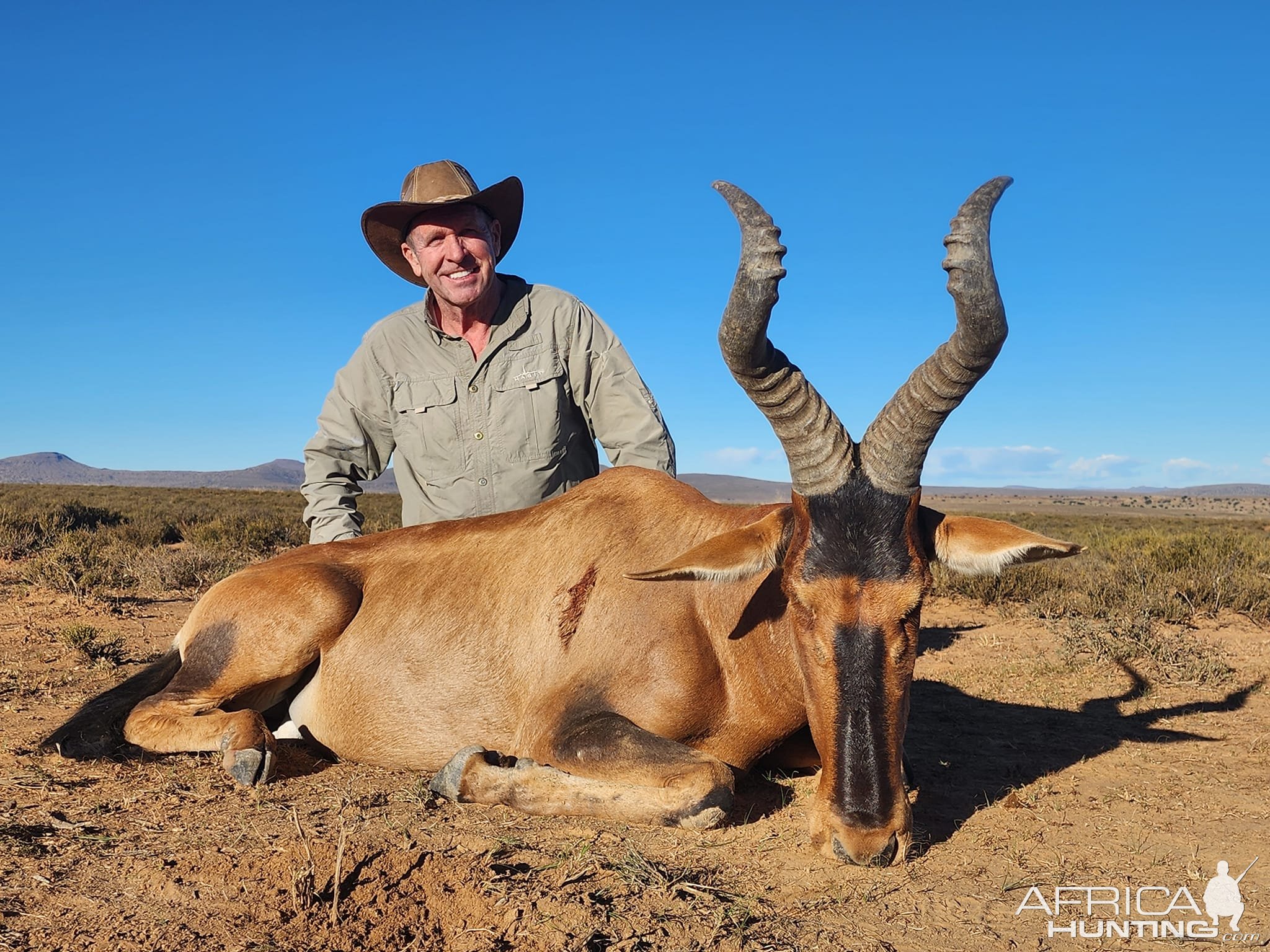 Red Hartebeest Hunt South Africa